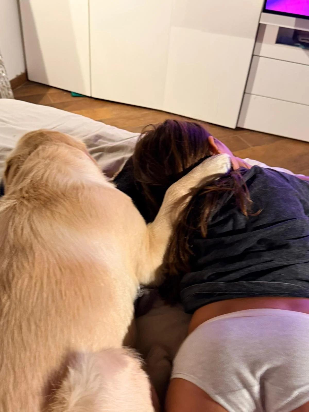 Una persona sdraiata sul pavimento con un cane sulla schiena, intenti a condividere un momento di relax in camera da letto.