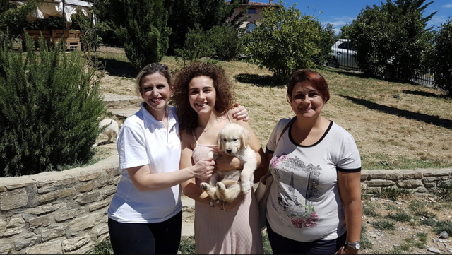 Tre donne sorridenti con un cane da compagnia in un parco soleggiato.
