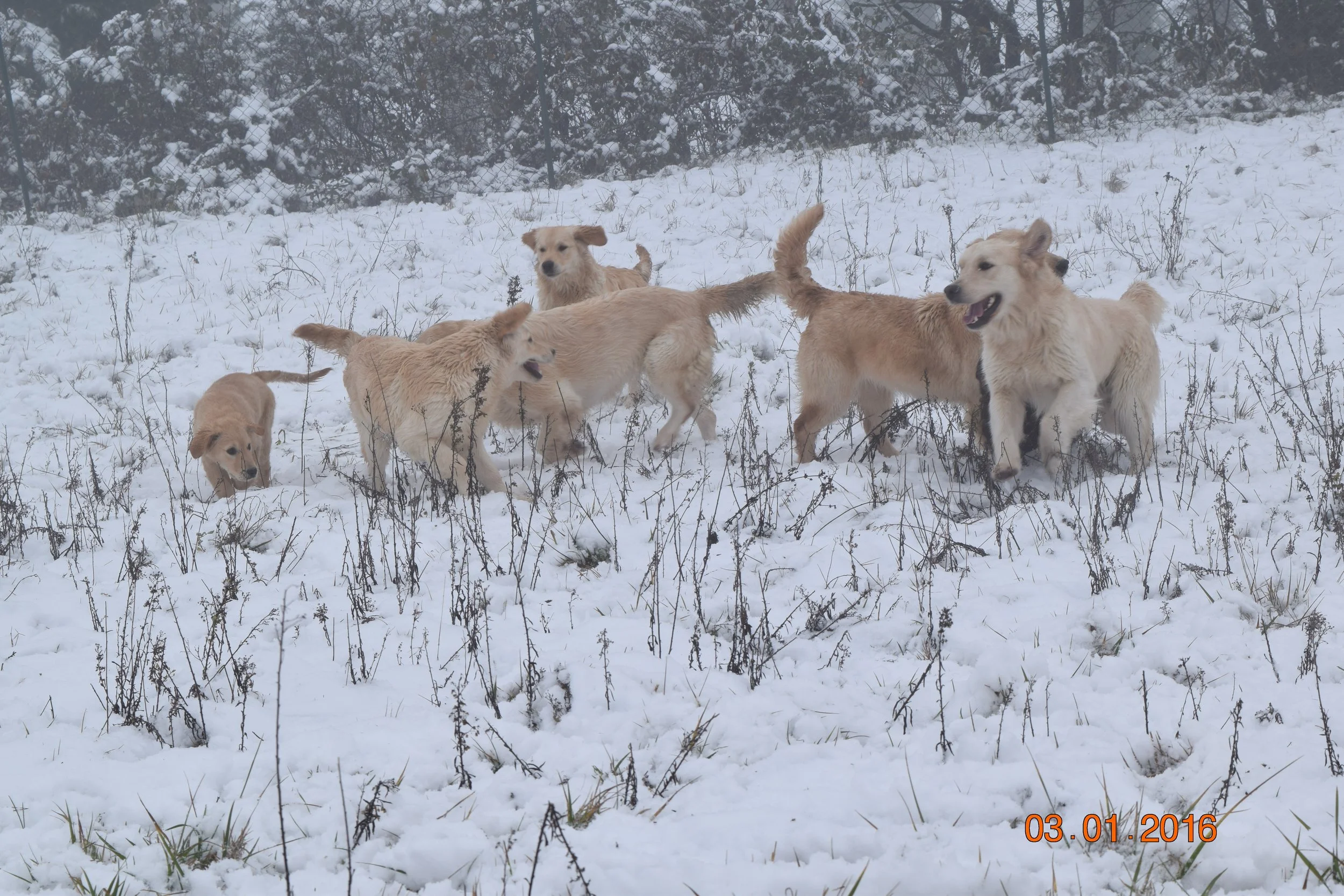 DSC_0271.JPG