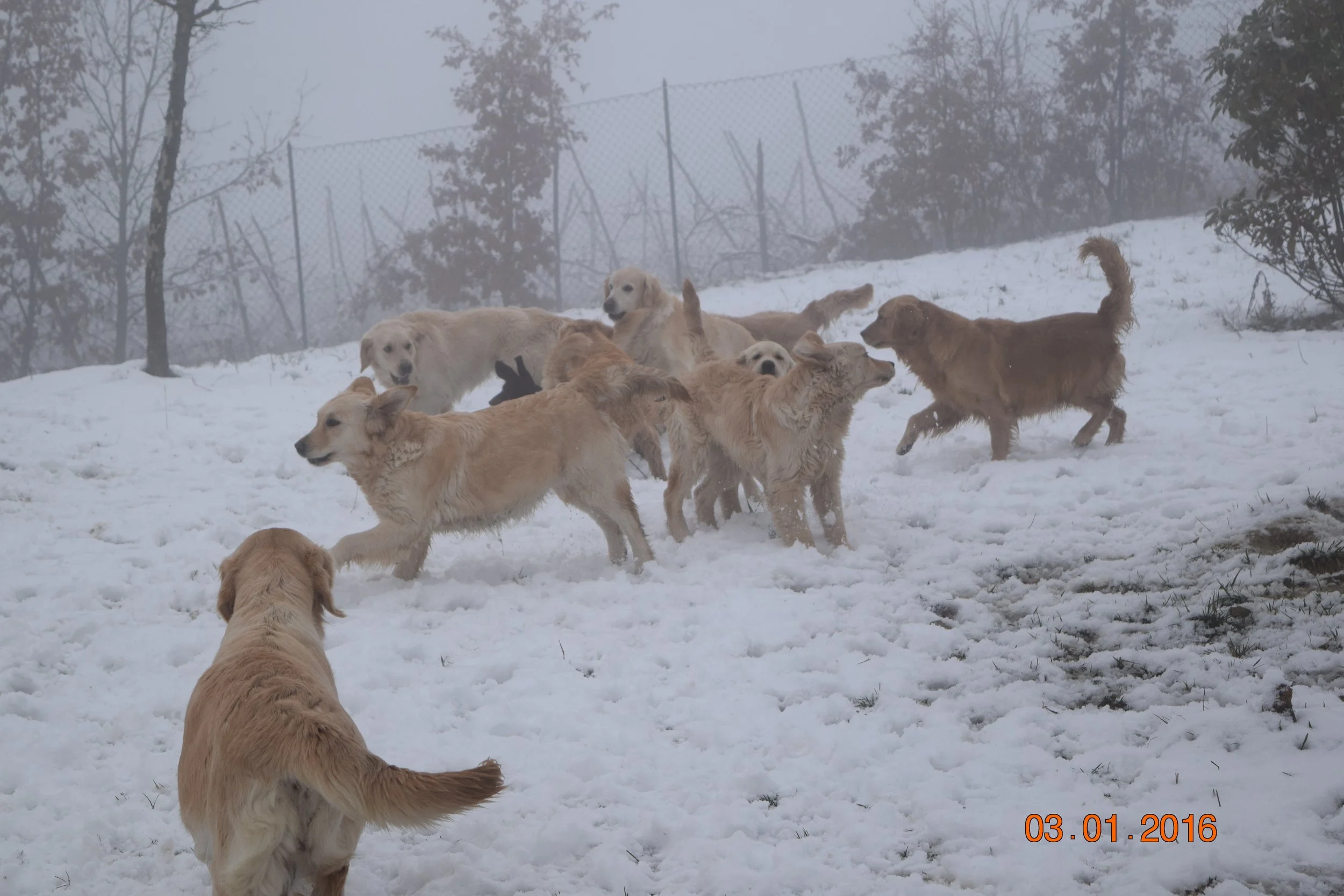 DSC_0237.JPG