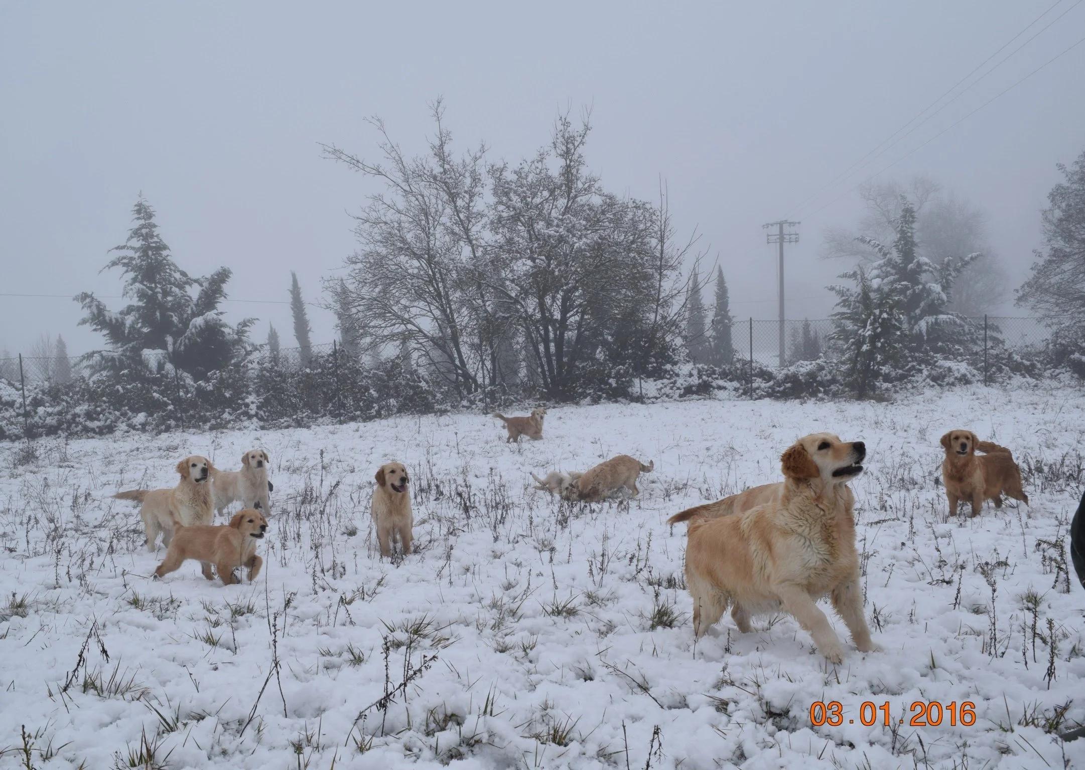 DSC_0273.jpg