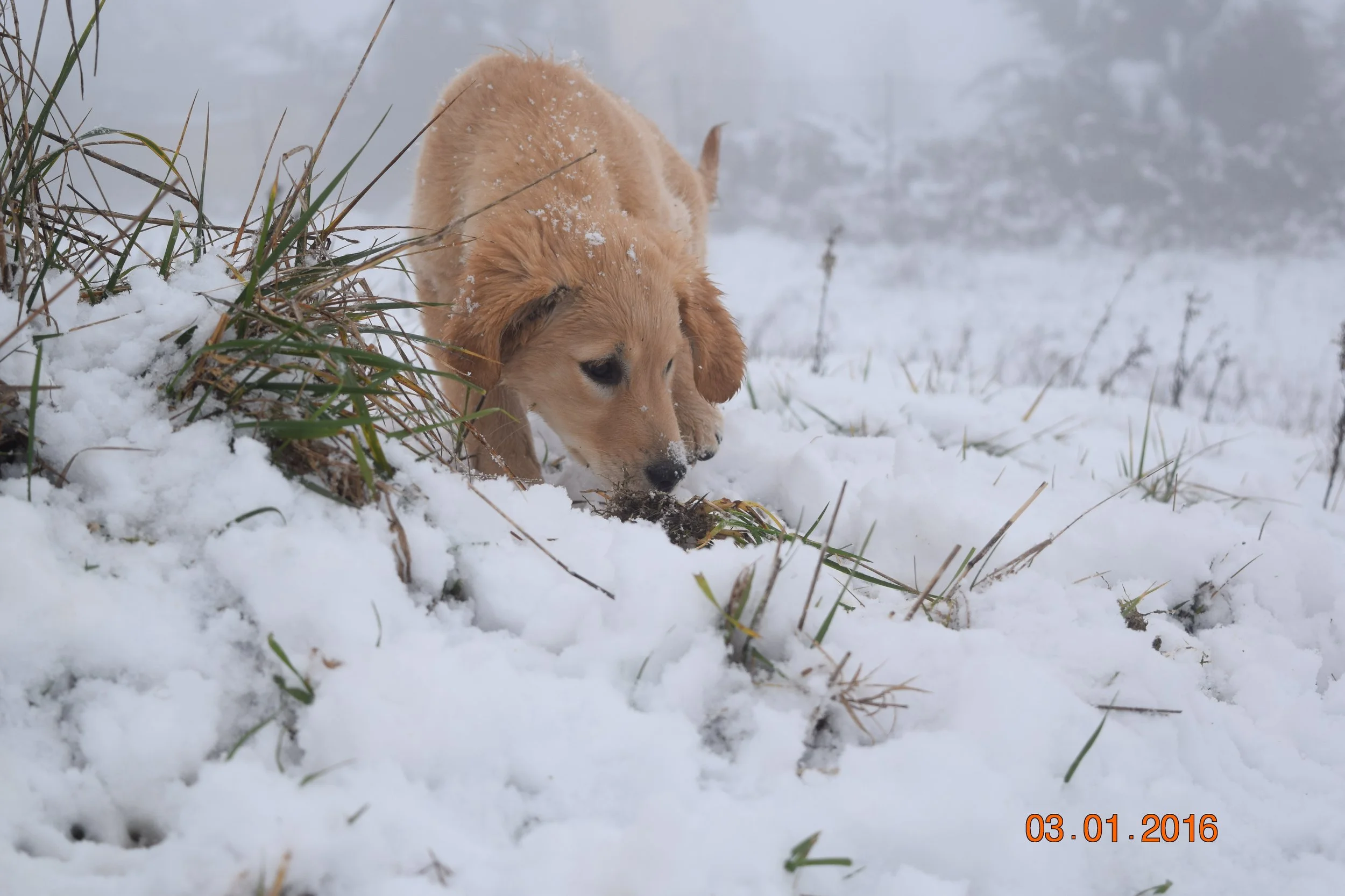 DSC_0257.JPG