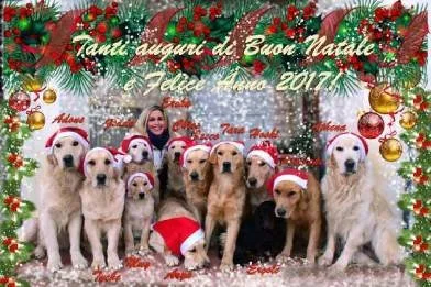 Gruppo di cani con cappelli di Babbo Natale e decorazioni natalizie, sotto un messaggio di auguri di Natale e buon anno.