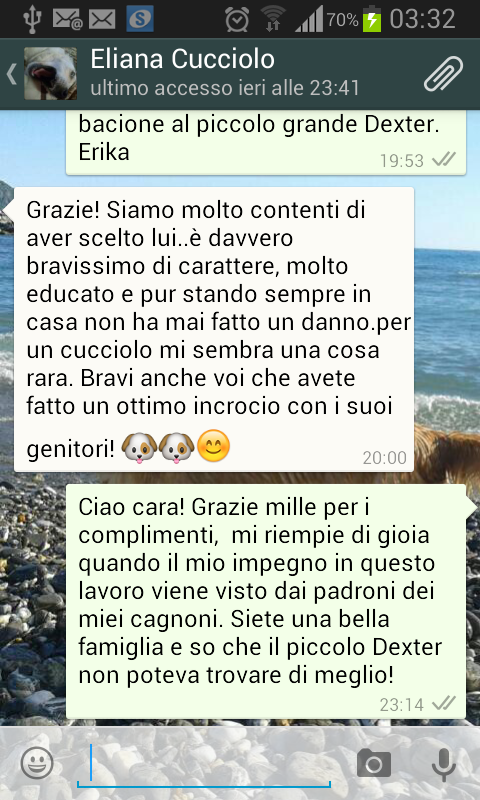 Schermo di chat di WhatsApp che mostra un confronto tra due persone che parlano dei propri adorabili cani, un cucciolo chiamato Dexter, con uno sfondo di spiaggia e mare.