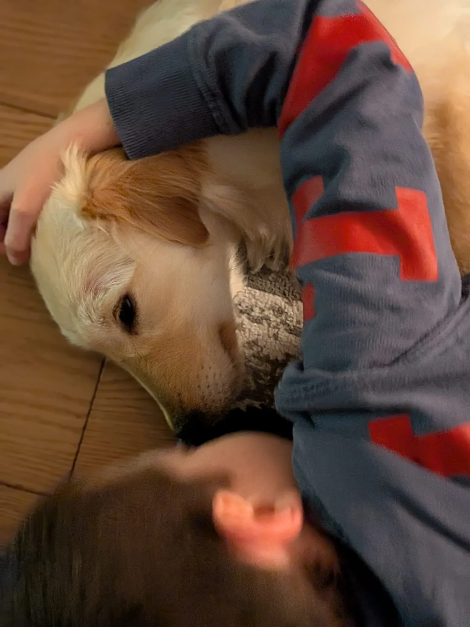 Bambino e cane addormentati insieme, il bambino indossa una felpa con maniche nere e rosse e si trova su un pavimento di legno.