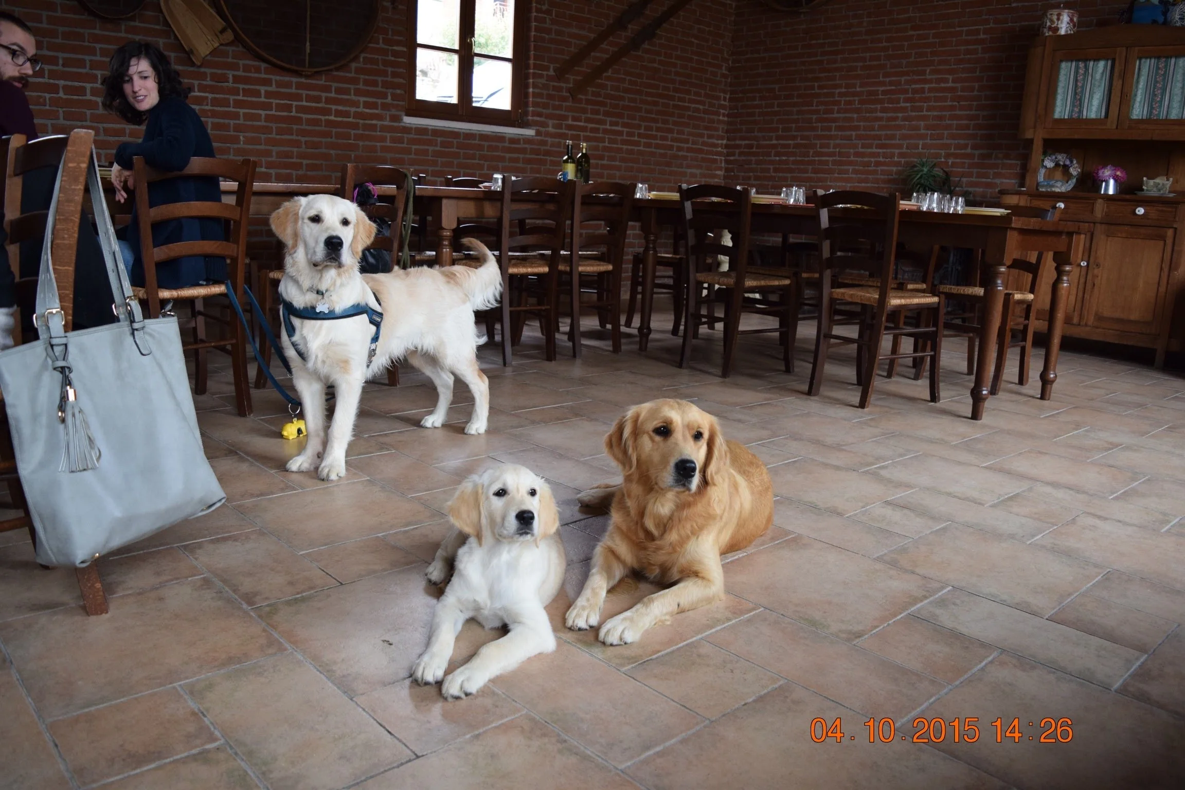 DSC_0812.jpg