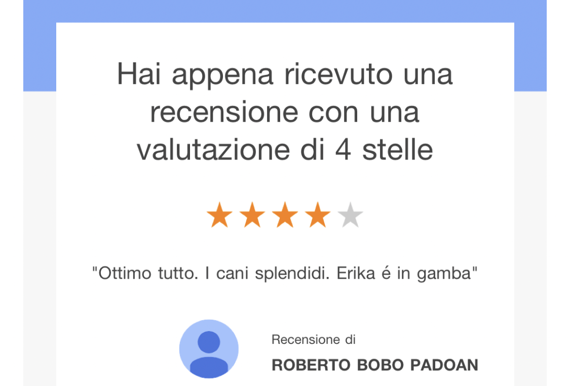 Schermata con recensione online che mostra una valutazione di 4 stelle su 5 e una breve testimonianza di un cliente sui servizi per cani, con nome di Roberto Bobo Padoan.