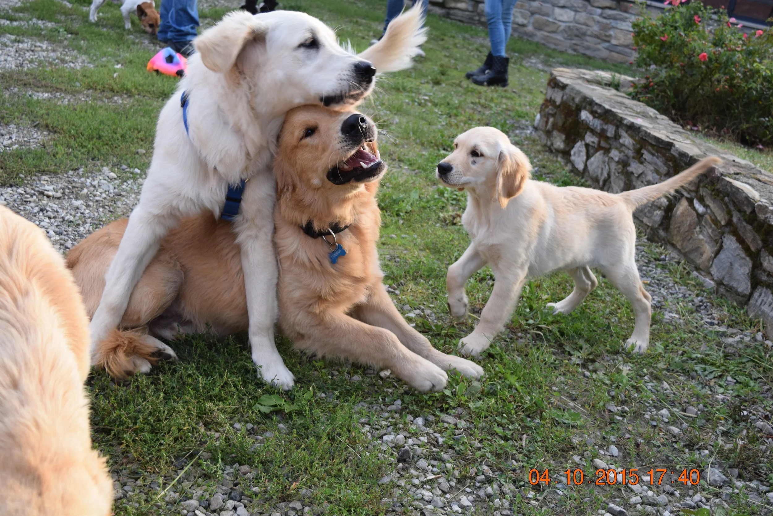 DSC_0871.JPG