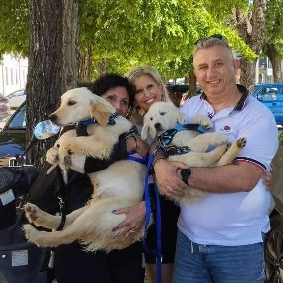 Zeus e Blue, due Golden Retriever dal nostro allevamento