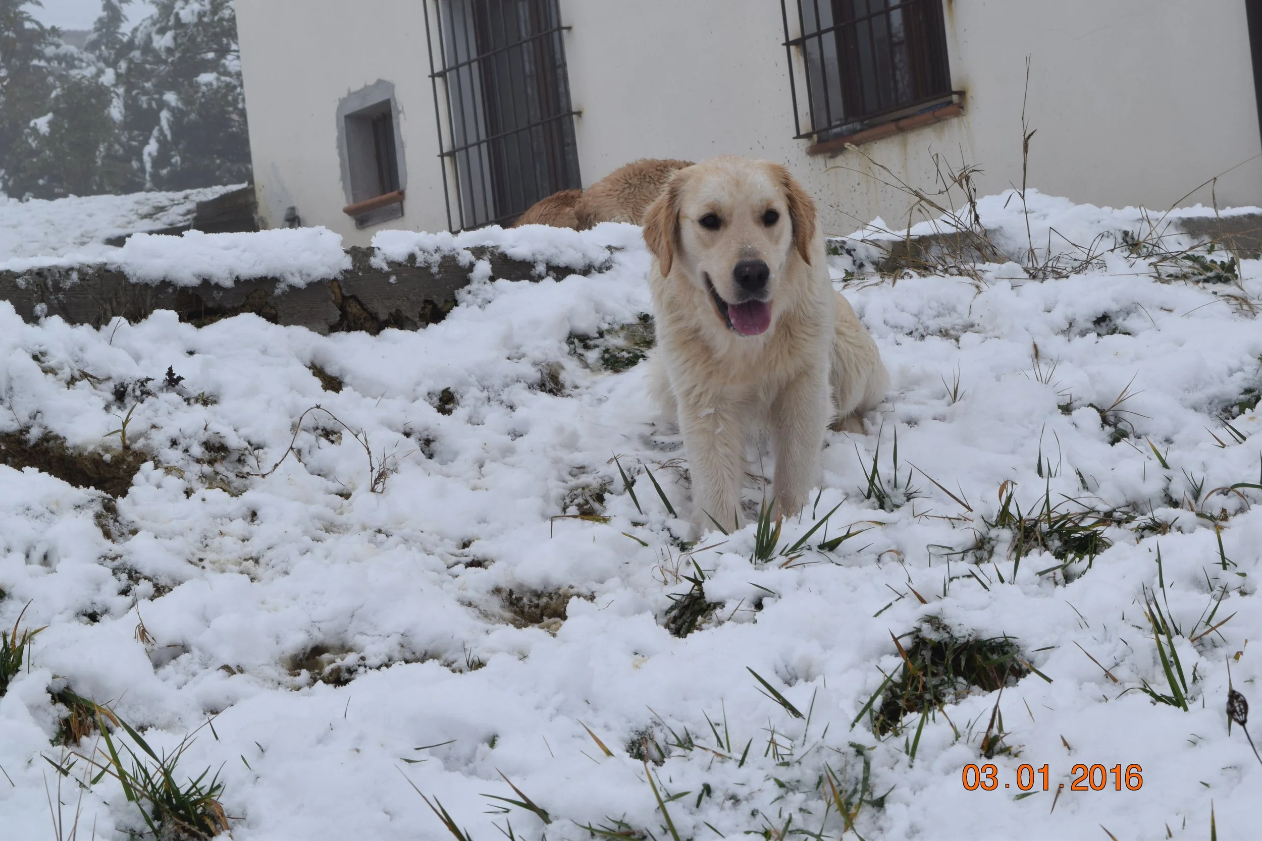 DSC_0286.JPG