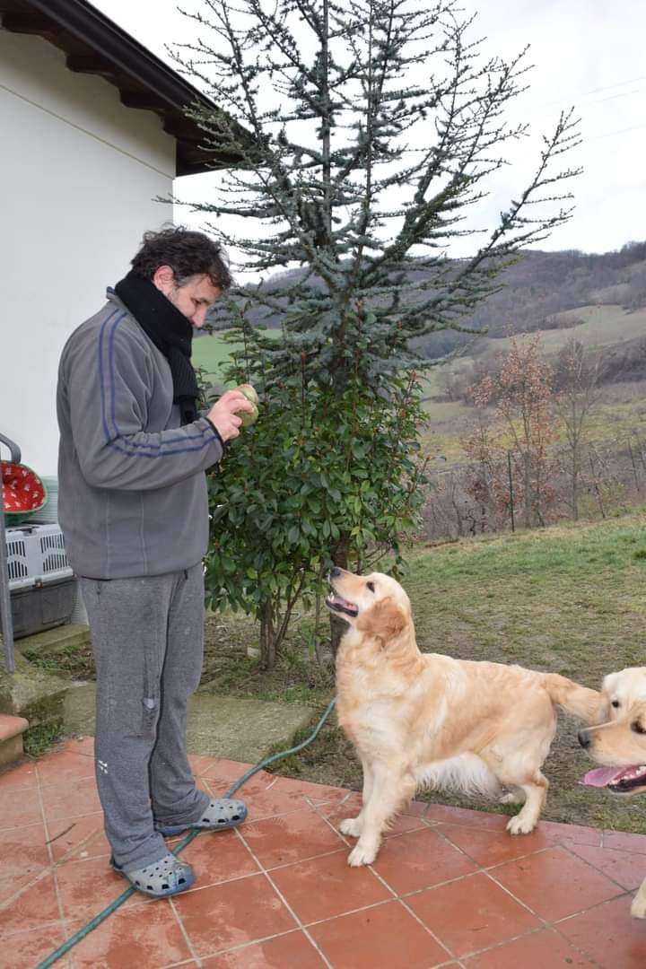 Uomo con due cani Golden Retriever all'aperto vicino a un albero con uno sfondo colline e vegetazione autunnale.