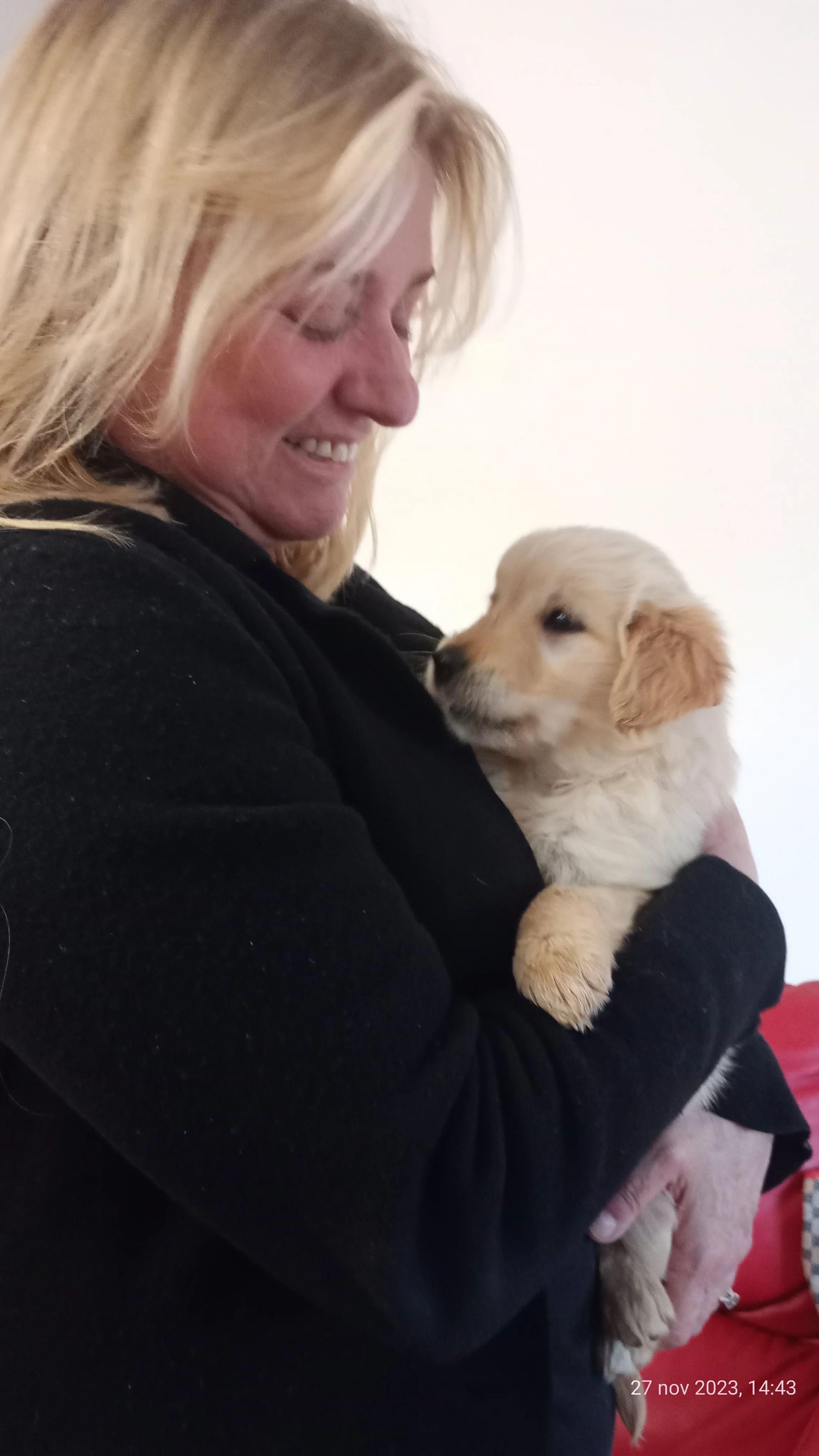 Donna che tiene in braccio un cucciolo di cane dorato su uno sfondo chiaro