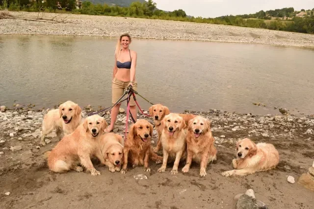 Una donna con sette cani golden retriever vicino a un fiume