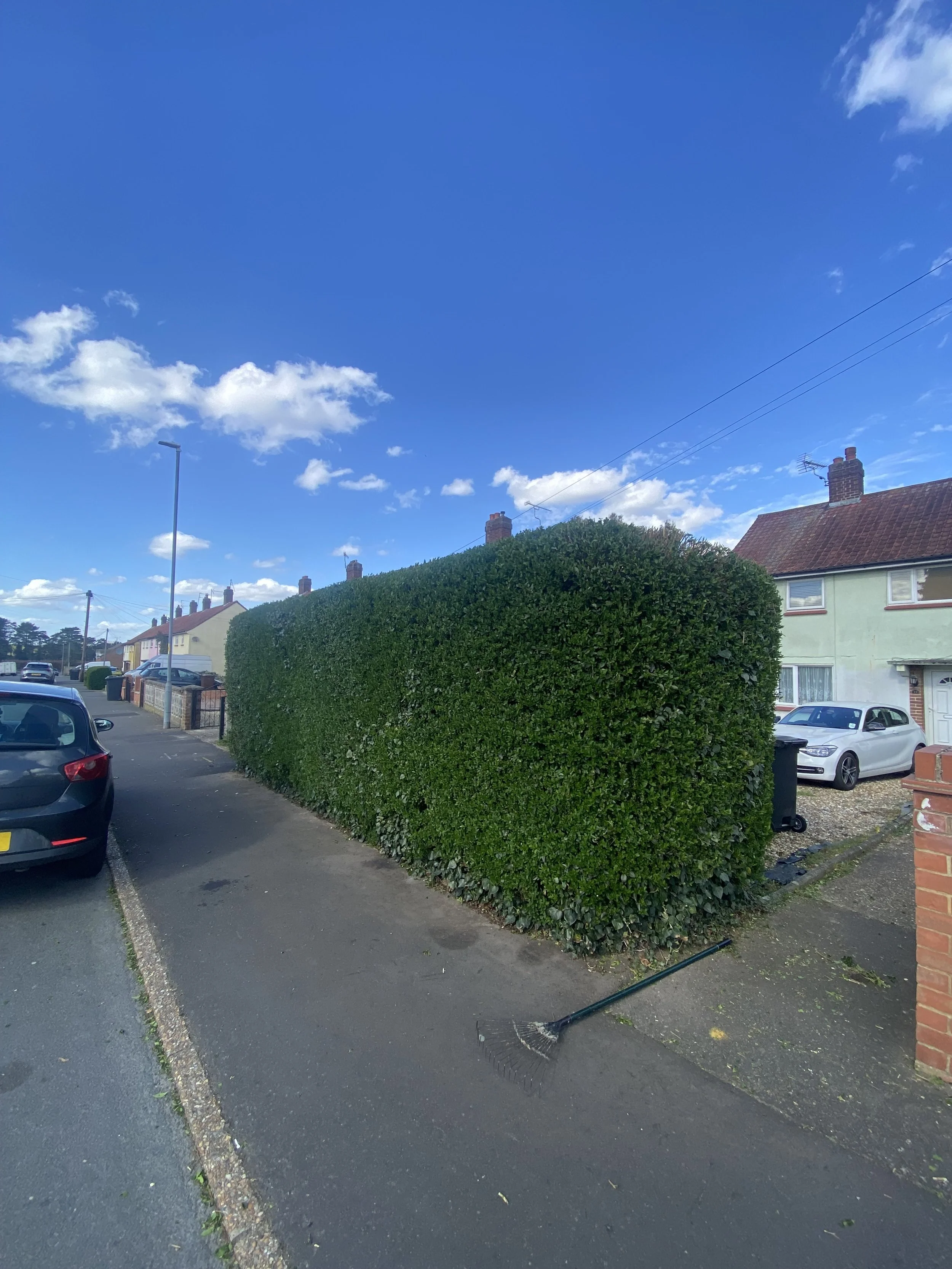 Hedge trimming/reduction/thinning
