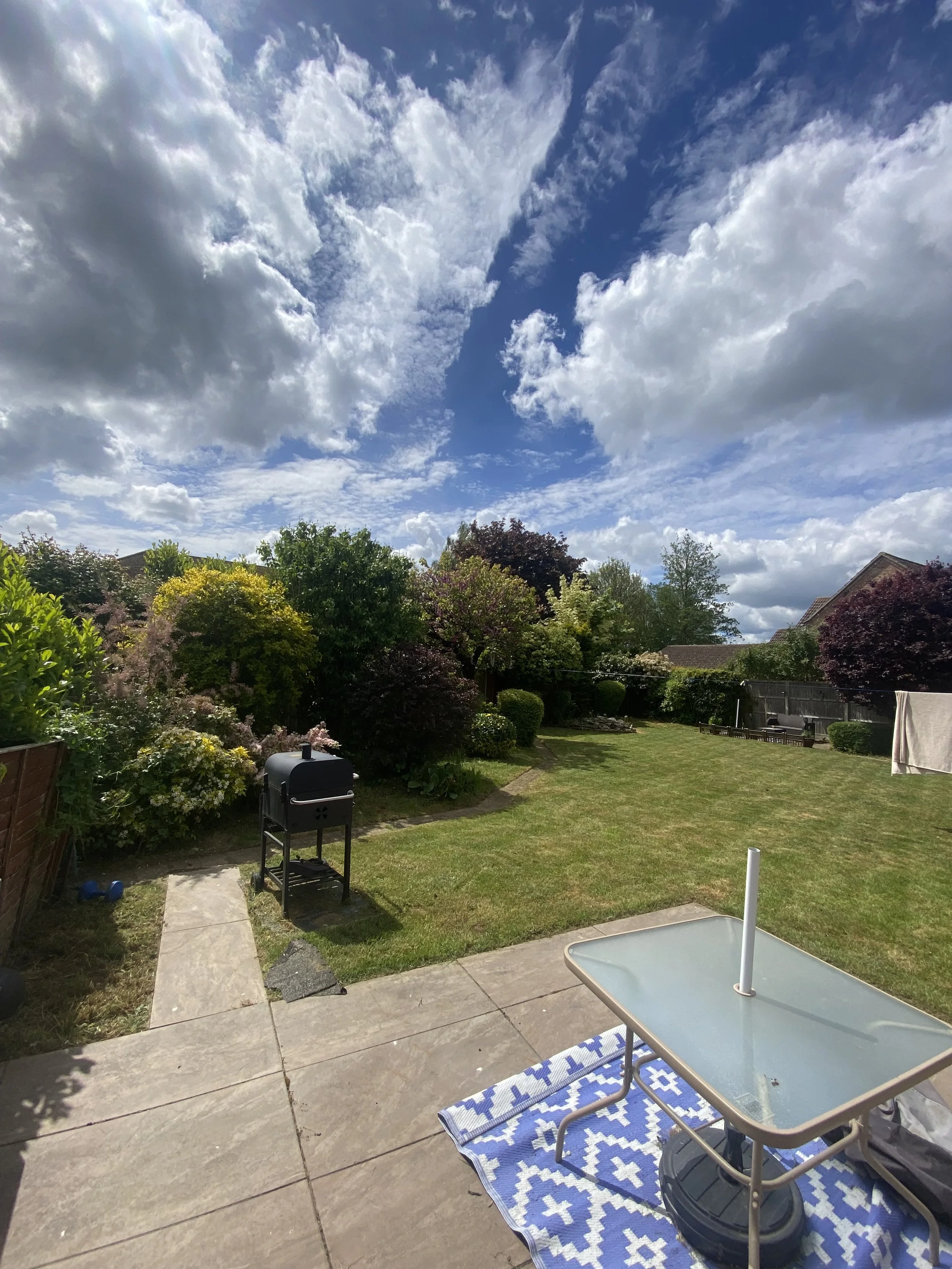 General garden maintenance 