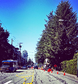 City street with trees on the right, construction cones, and a police vehicle on the left side of the road.