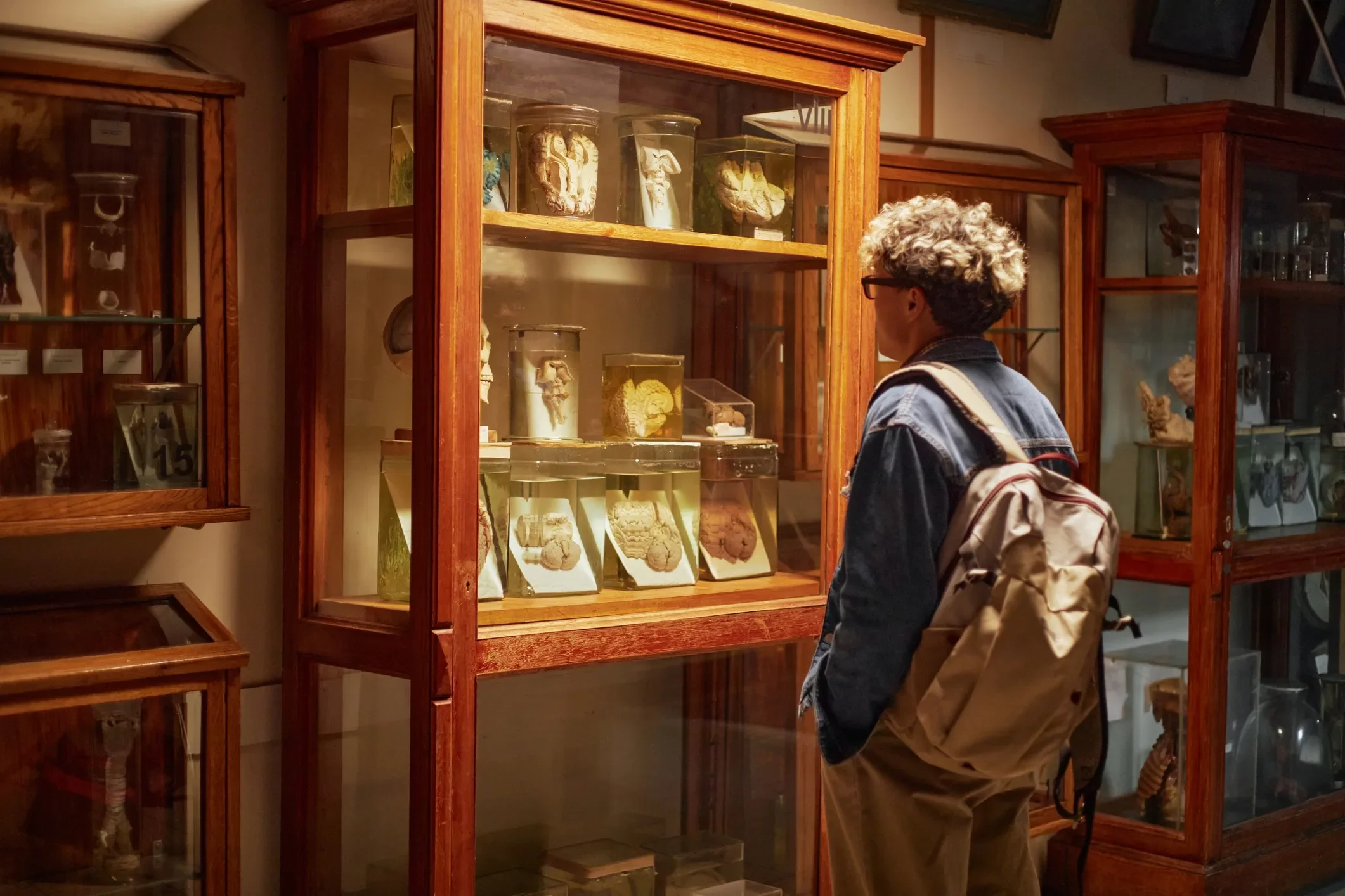 A person with curly gray hair and glasses looking at display cases filled with ancient artifacts or sculptures in a museum.