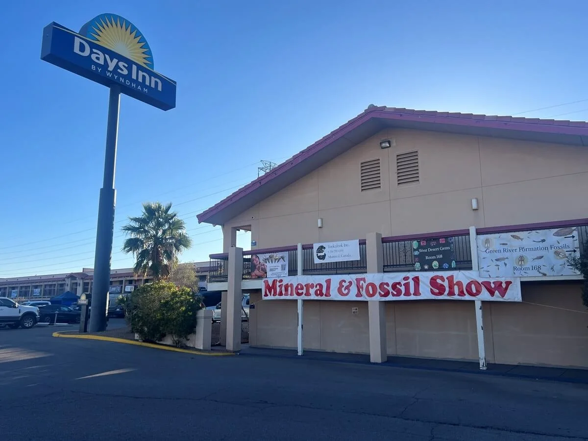Exterior of a building with a sign for Days Inn by Wyndham, and a banner advertising a Mineral & Fossil Show in a parking lot with cars and a palm tree.