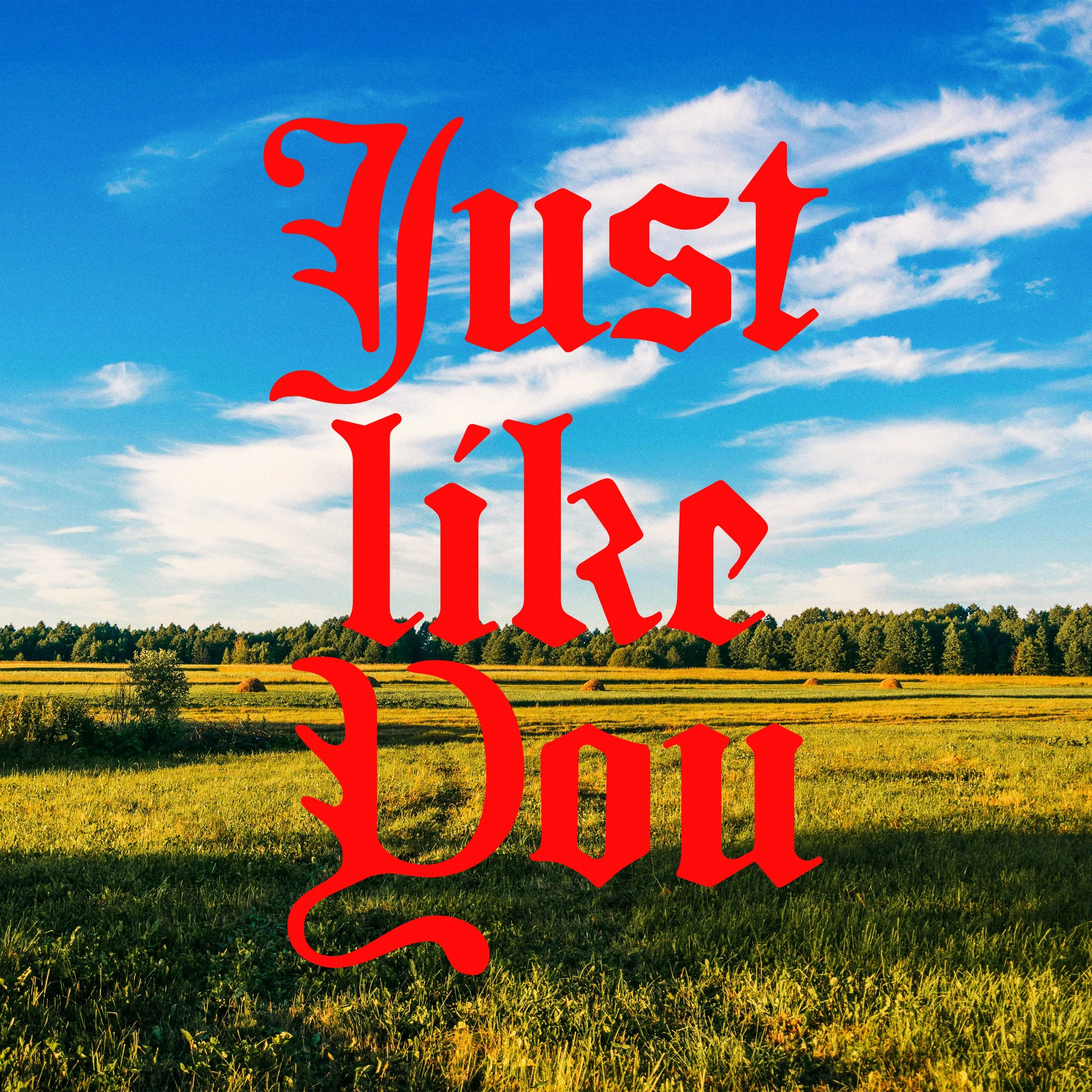 Just Like You Cover art.jpg