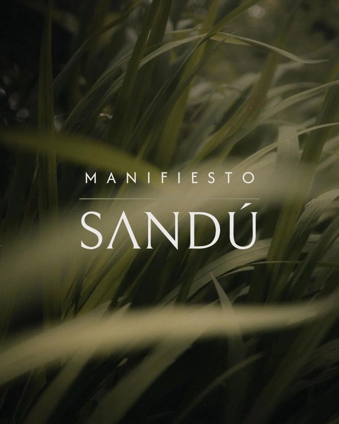 Las bases de por qu&eacute; creamos Sand&uacute;, nuestro prop&oacute;sito. 
Si conectas con esto, ya eres parte ✨