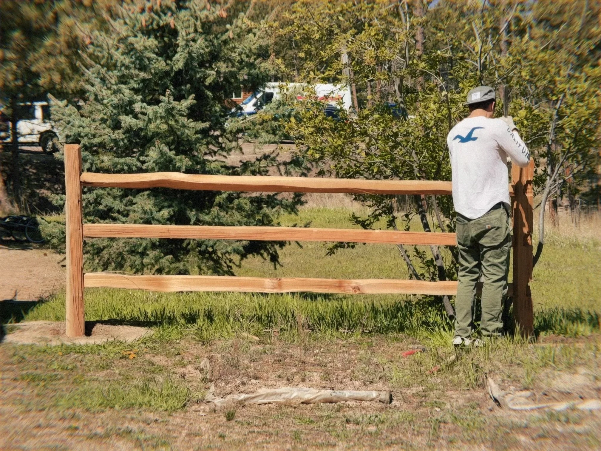 Split rail cedar