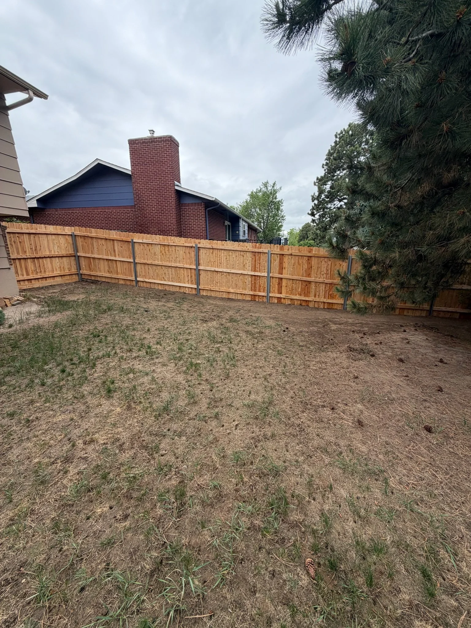 Backyard with a wooden fence, patches of grass and dirt, evergreen trees, and a house with a brick chimney under a cloudy sky.