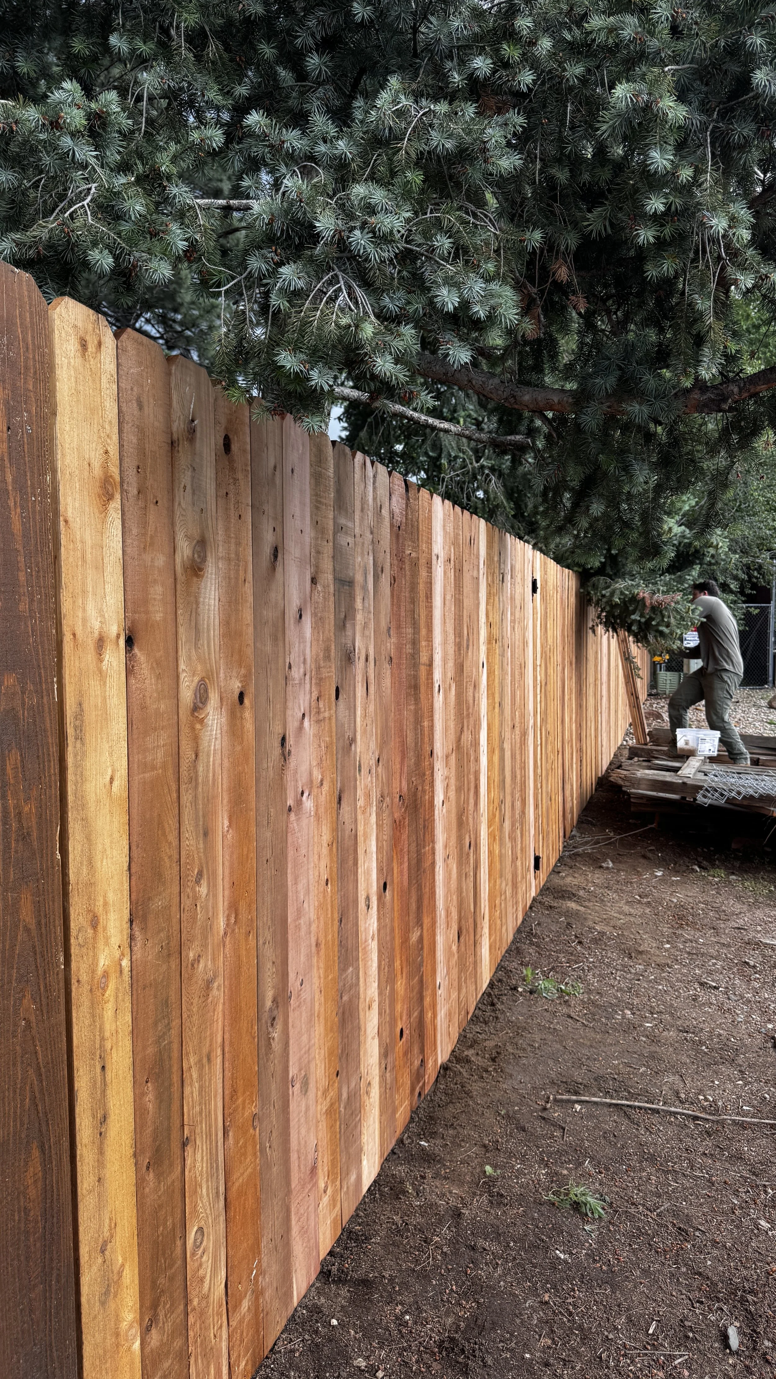 A person working on installing a wooden fence beside a large, lush green tree, with some construction materials on the ground.