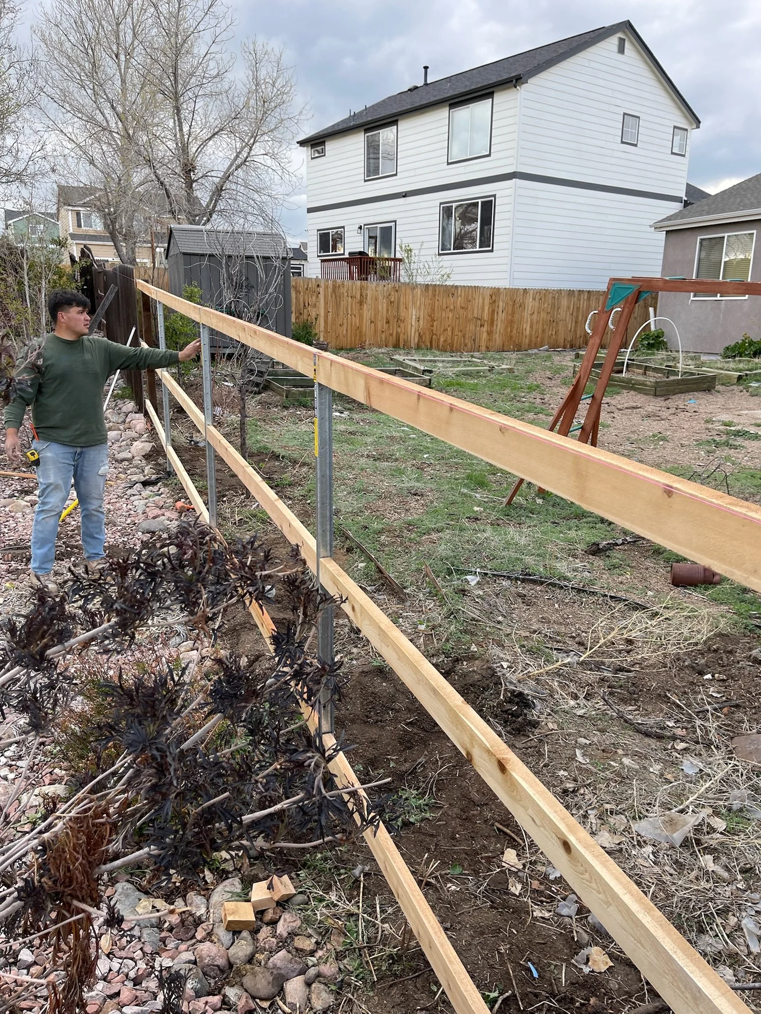 Cedar privacy fence, Colorado Springs area.