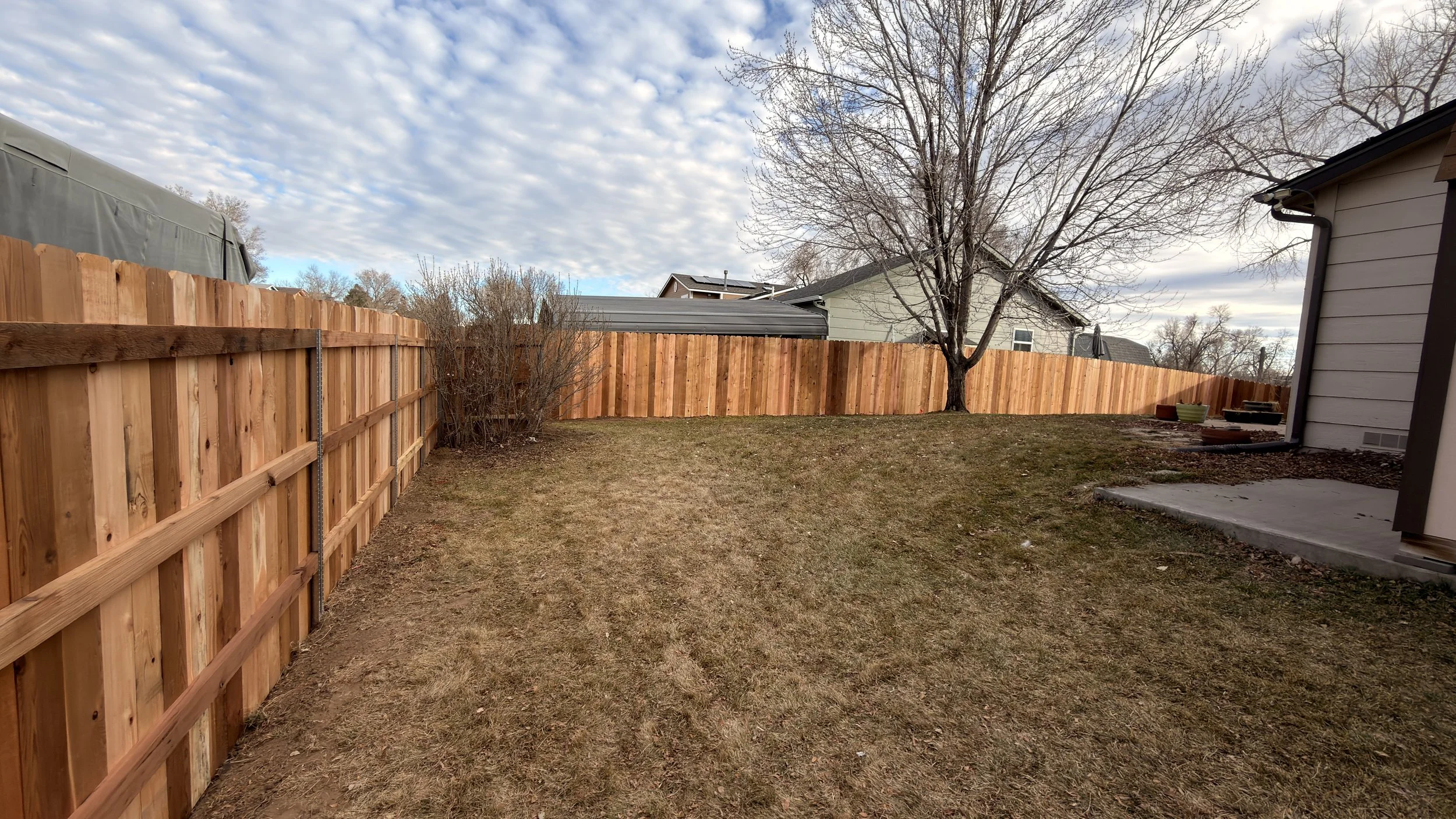 Backyard with a wooden privacy fence, a large leafless tree, and a house with a small porch in the background. The yard has grass and some bushes, and the sky is partly cloudy.