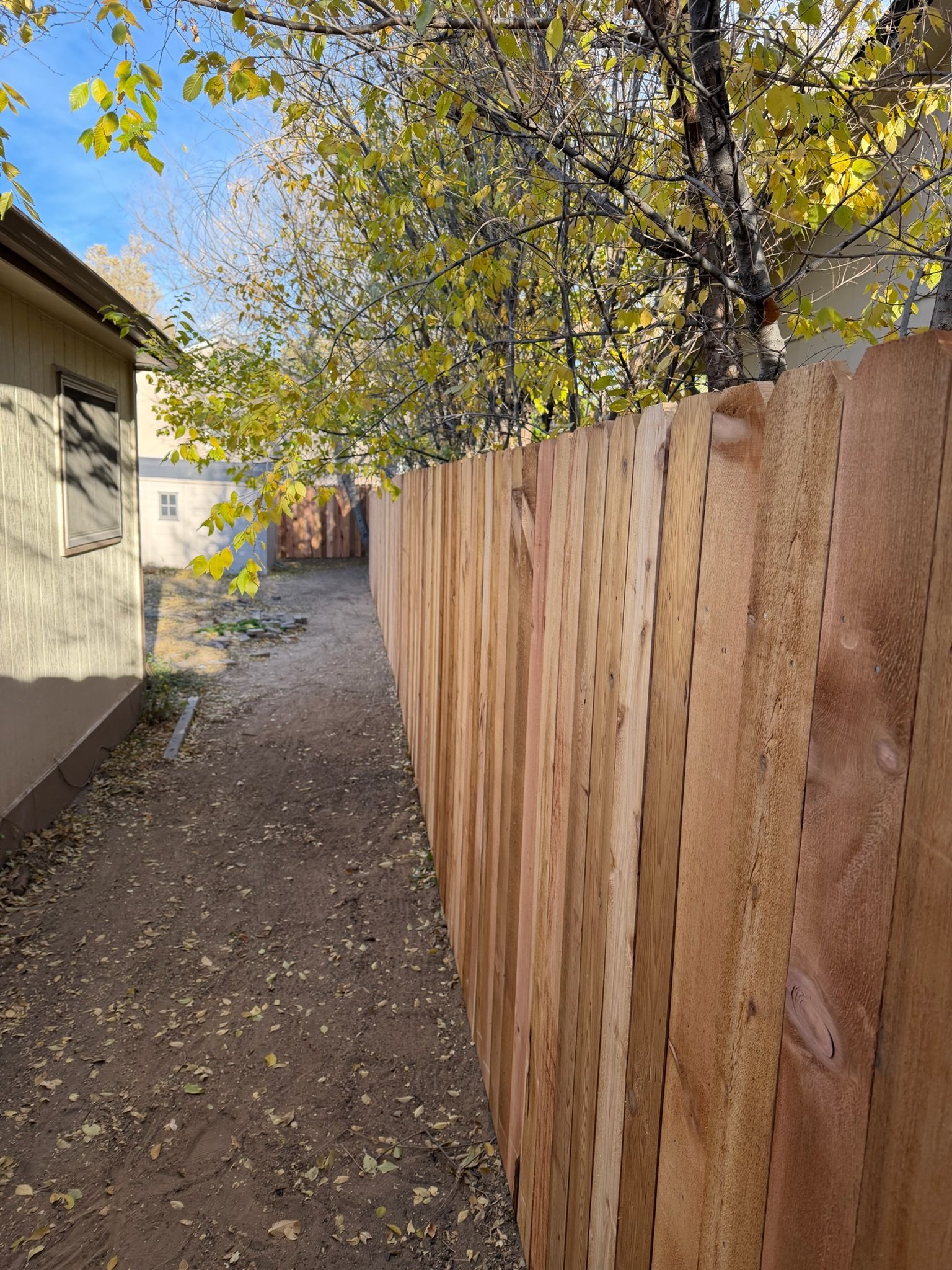 Cedar privacy fence, Colorado Springs area.