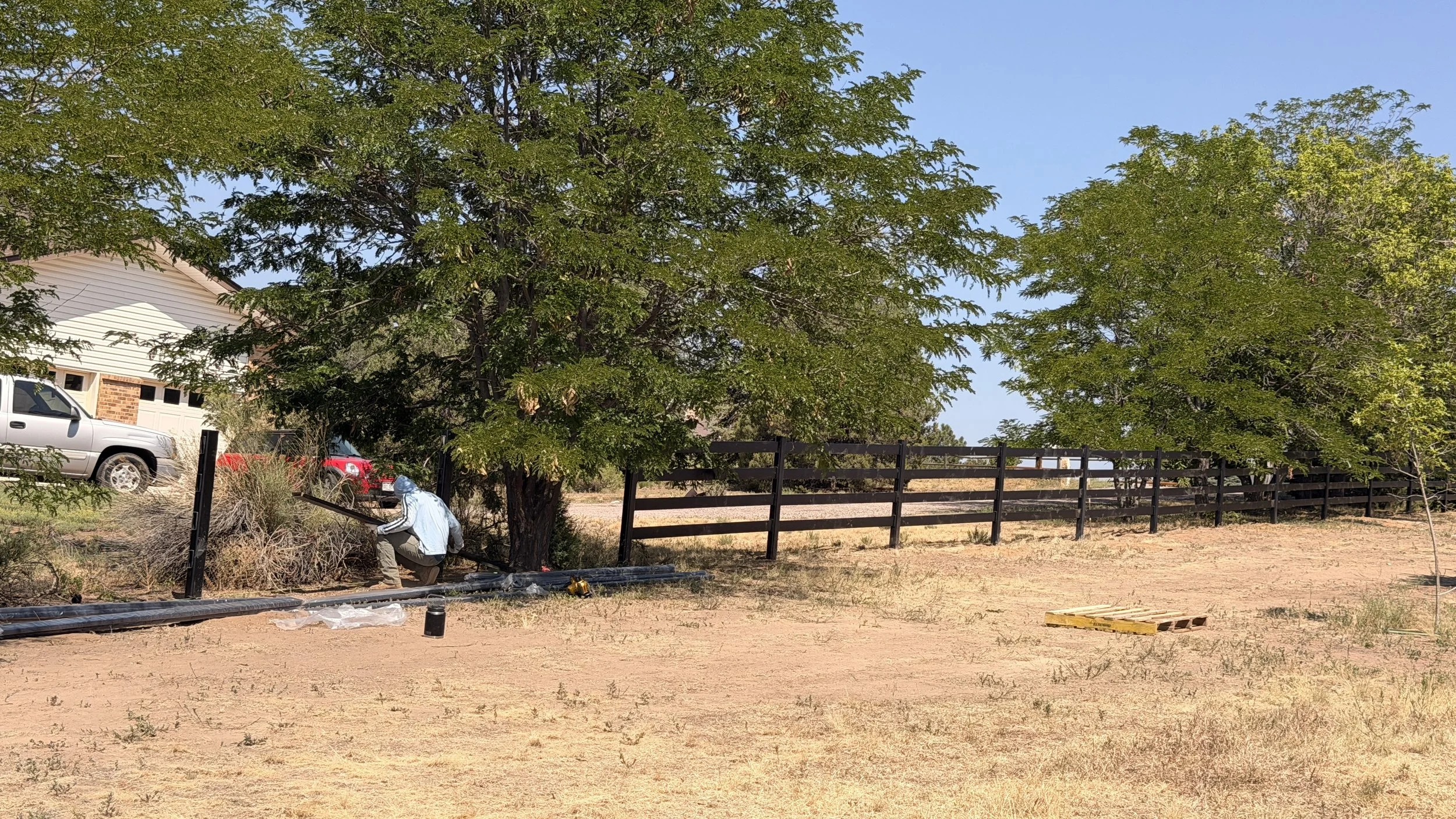 buckely horse fence