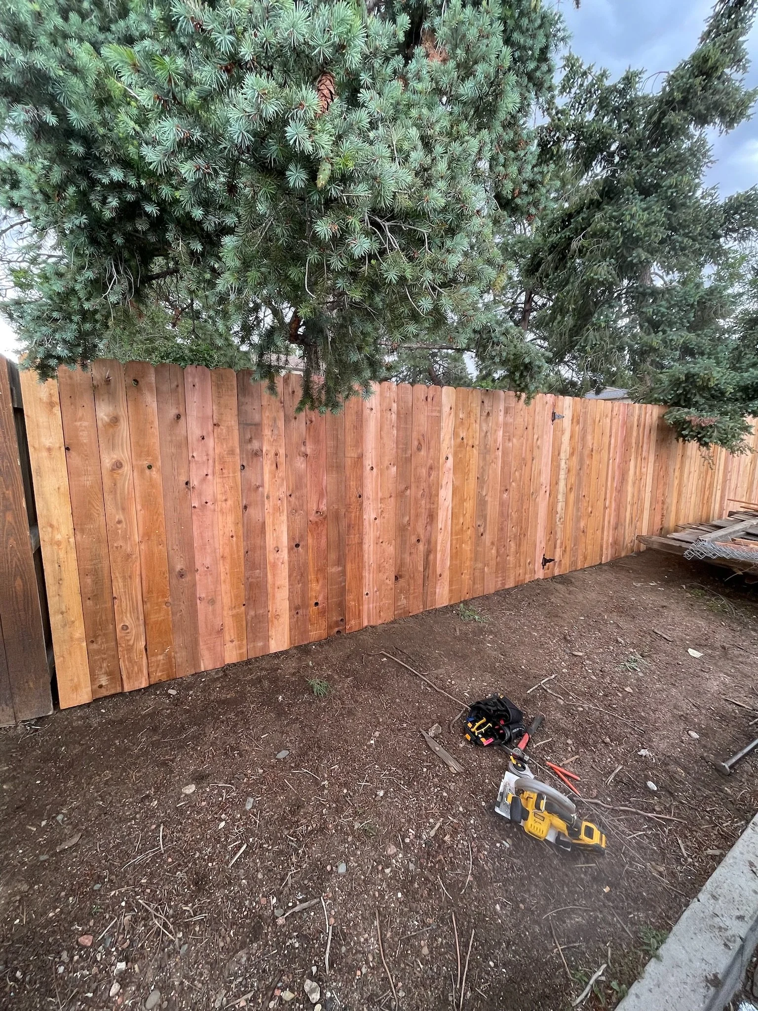 A newly installed wooden fence with tools and equipment on the ground in front of it, and pine trees in the background.