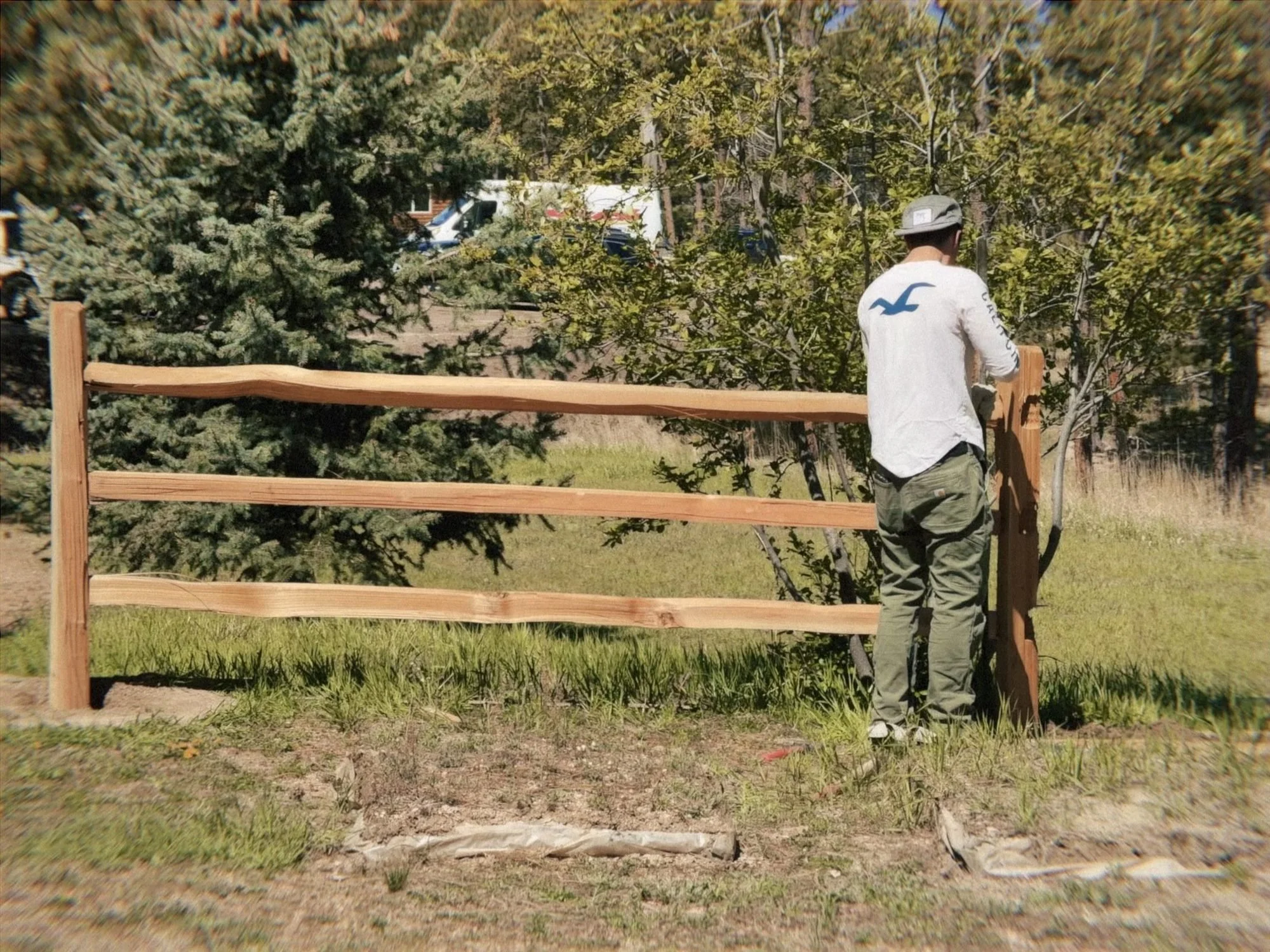 Cedar split rail fence, Black Forest