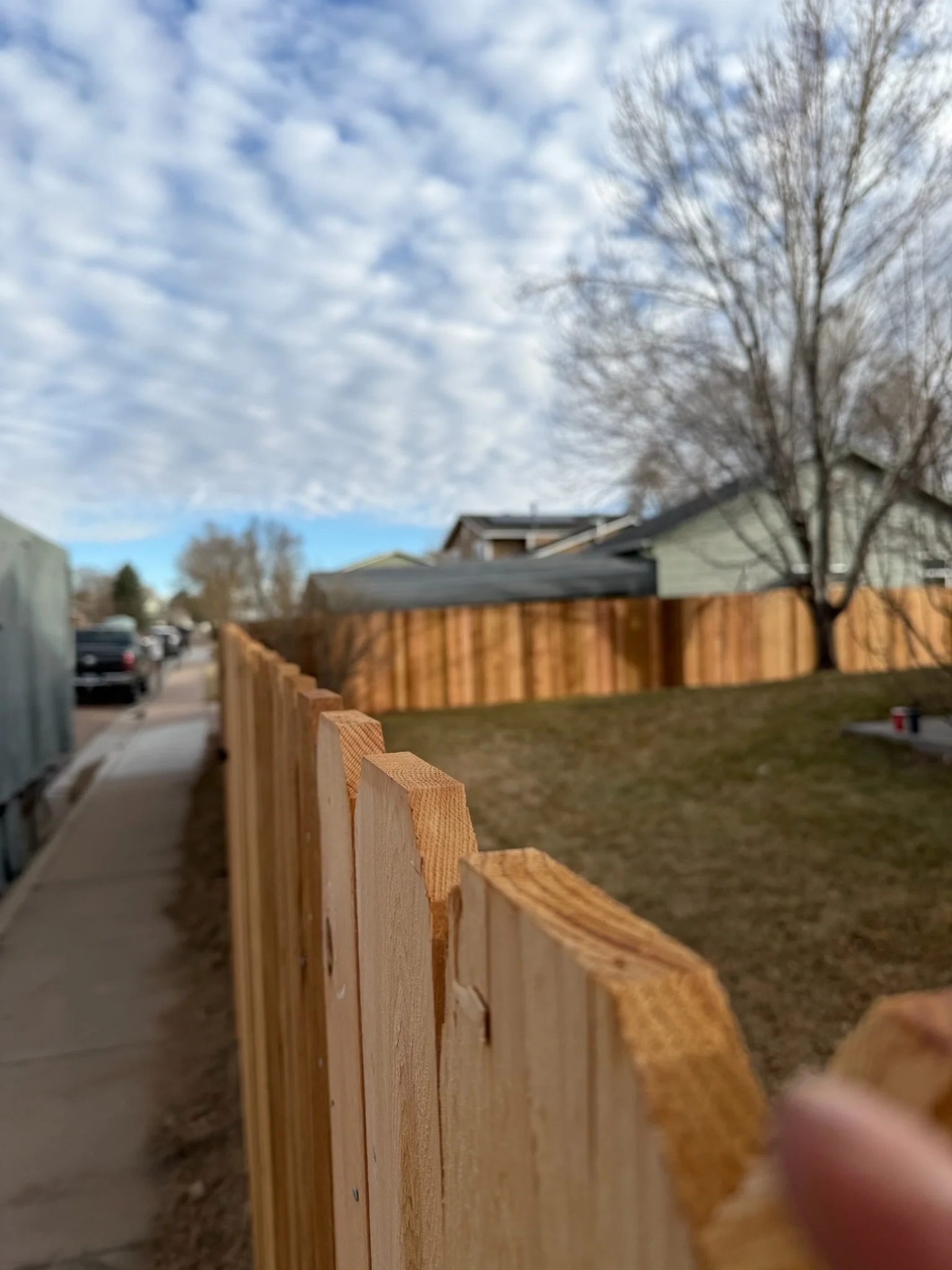 Cedar privacy fence, Colorado Springs area.