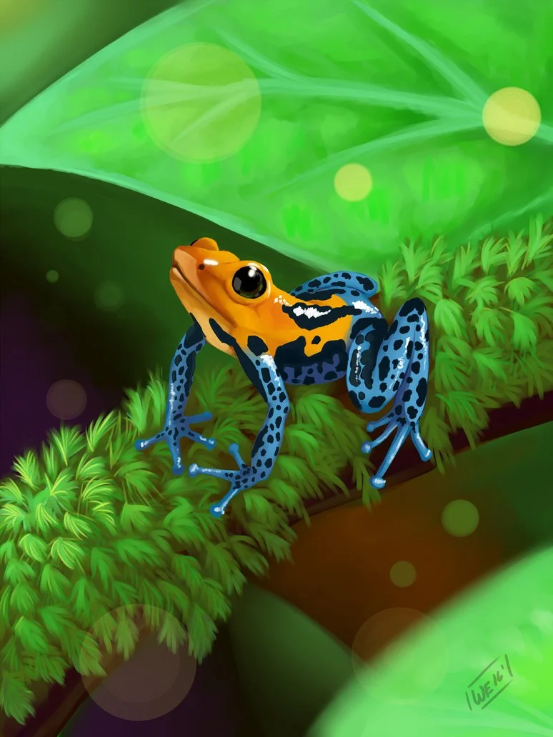 frog_by_williameverett-dag16pa.jpg