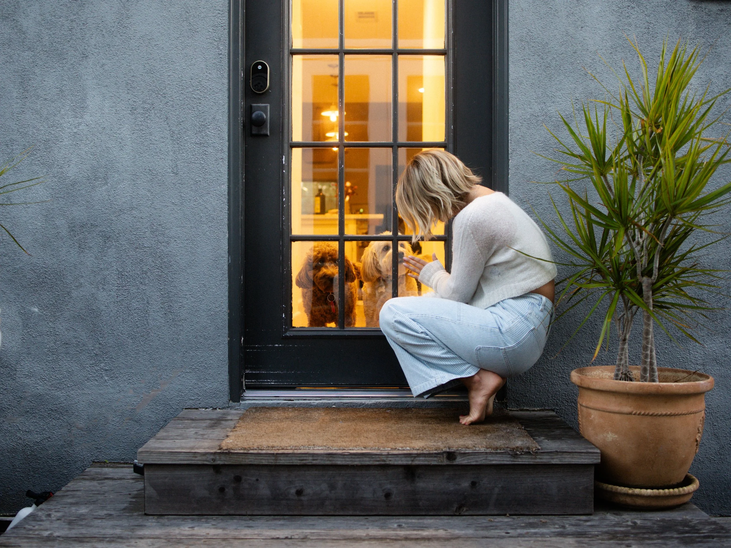 A woman crouching outside a house, interacting with two dogs through a glass-paneled door. The door is black, with a modern lock and handle, and the house has a textured gray exterior wall. There are potted plants on the porch, one large plant in a t