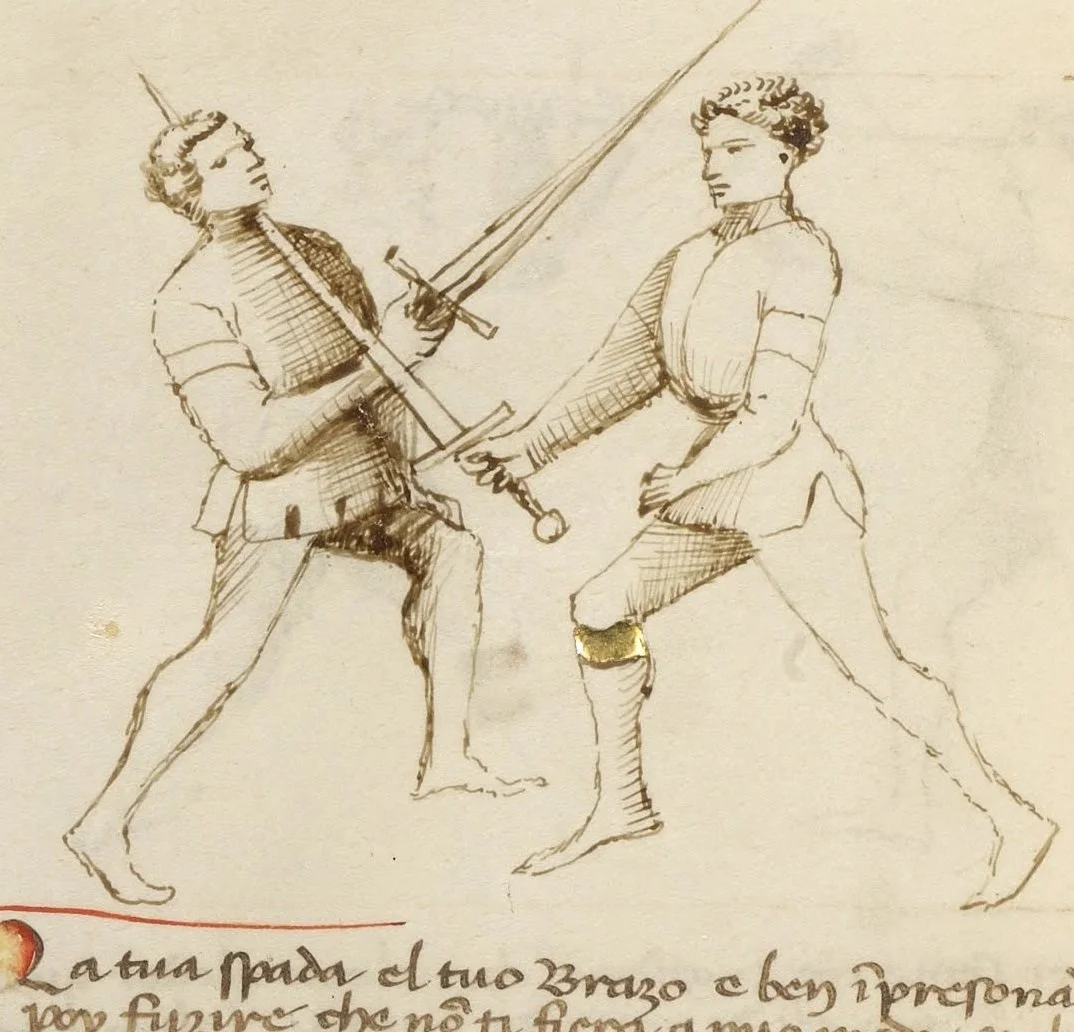 MS_Ludwig_XV_13_20v.jpg