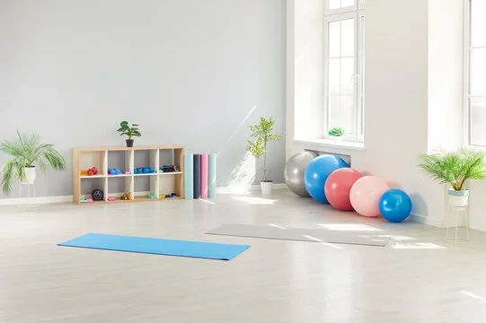 A bright exercise room with a blue yoga mat on the wooden floor, gym balls in pink, blue, and gray near a window, and shelves holding yoga mats and small plants.