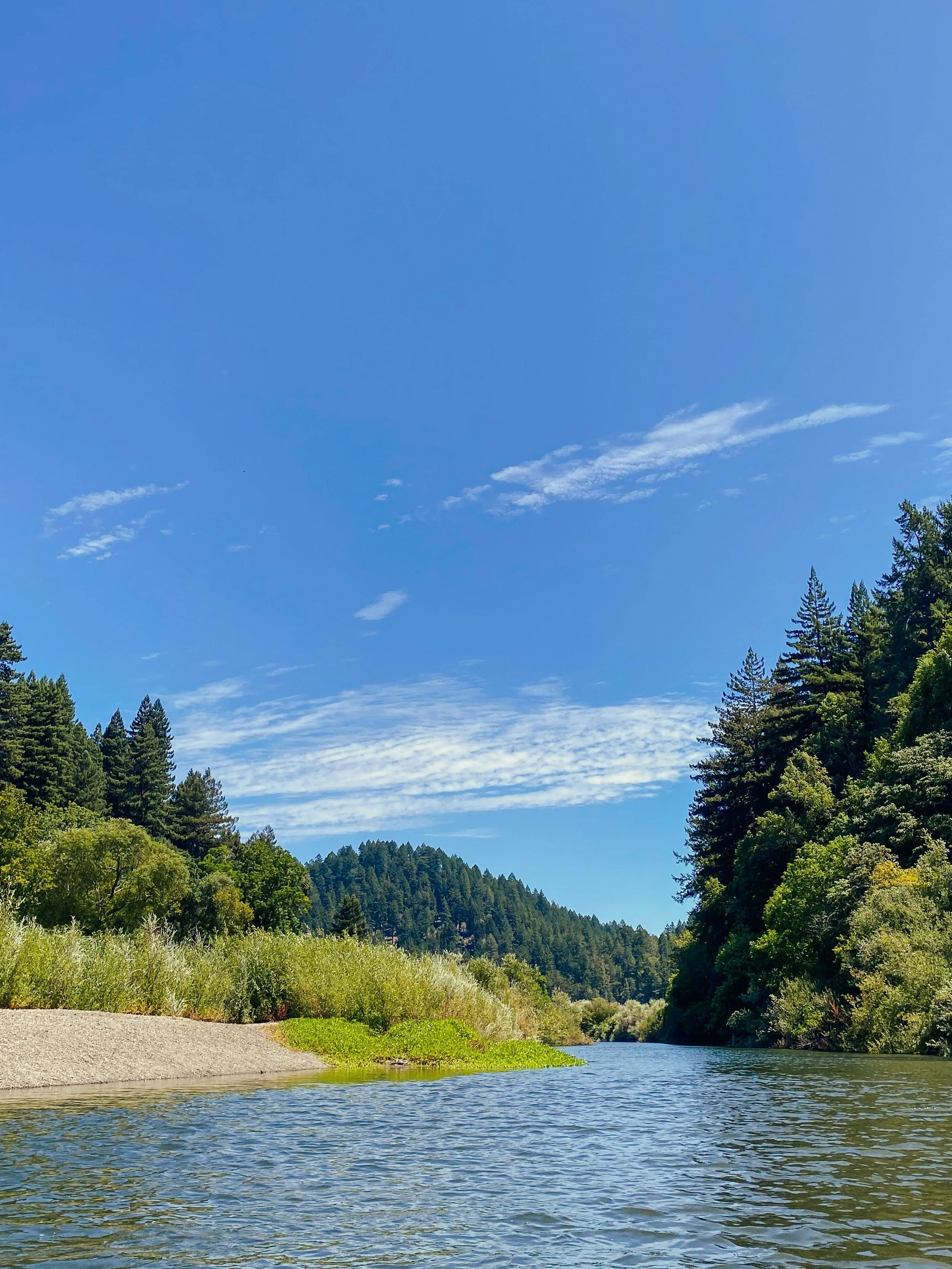 A peaceful river flowing through a lush green forest with a clear blue sky and a few scattered clouds overhead.