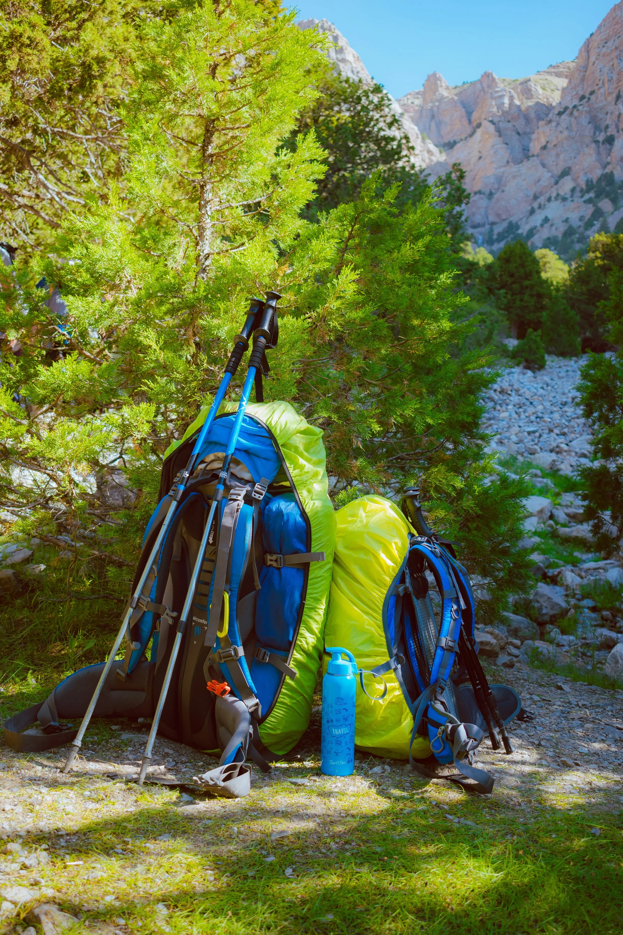 Backpacking gear, including backpacks, trekking poles, and a water bottle, arranged against a backdrop of green trees and rocky mountains on a bright, sunny day.