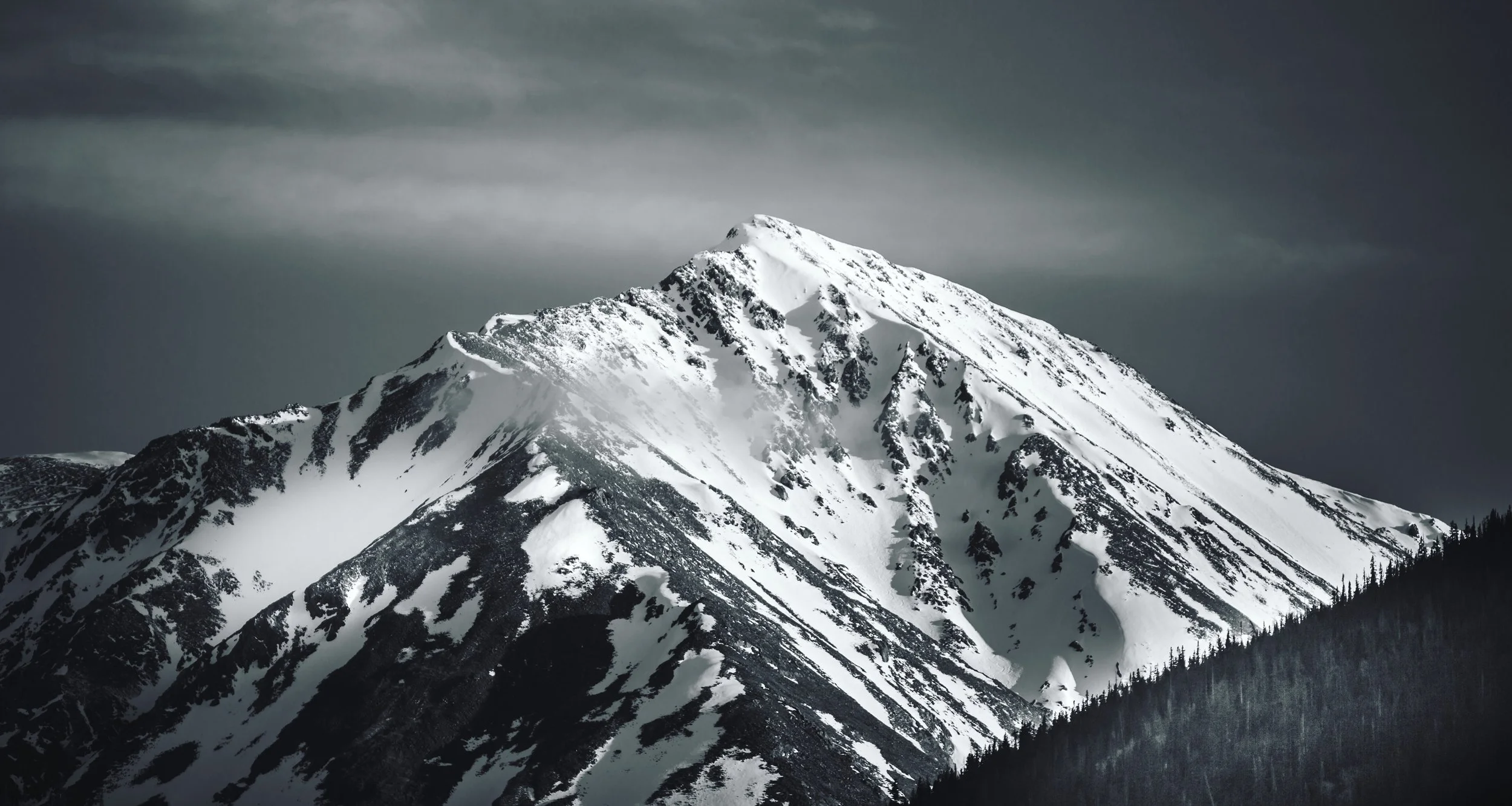 Torreys30x16.jpg