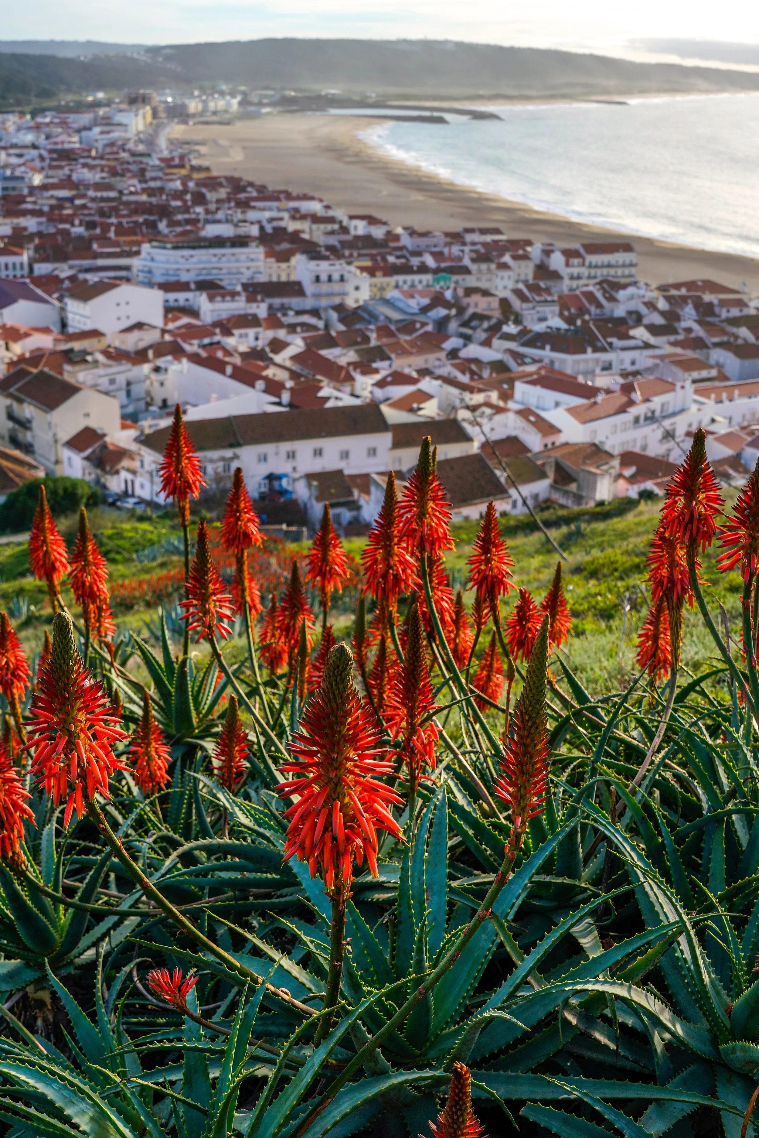 Portugal-19.jpg