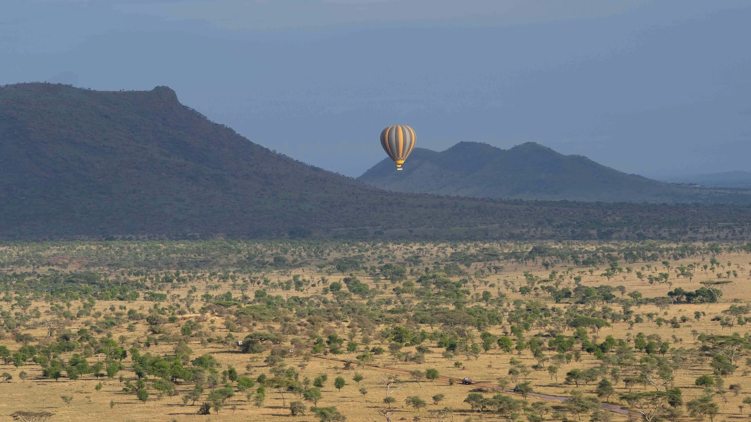 safari-6.jpg