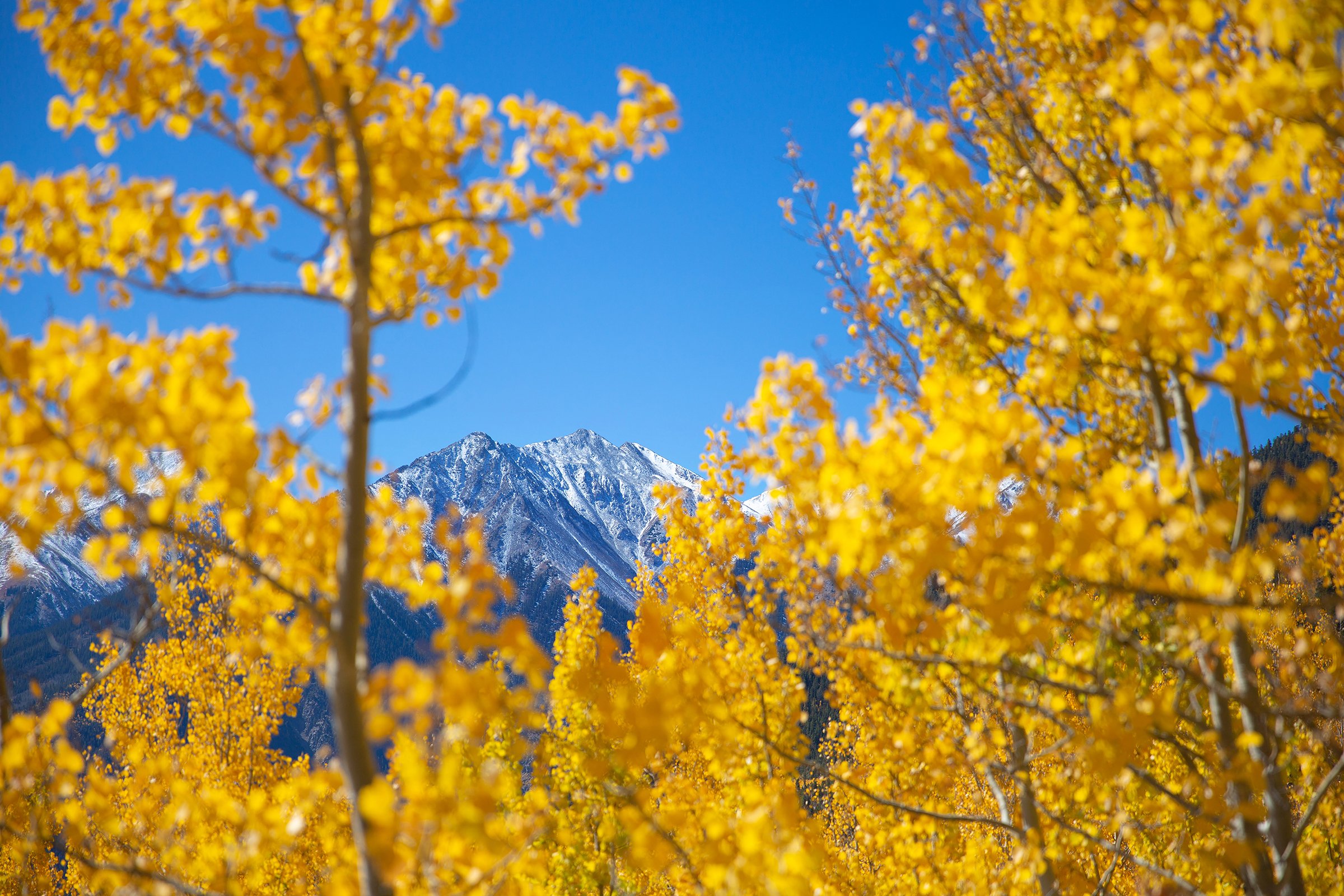 aspenwindow30x20.jpg