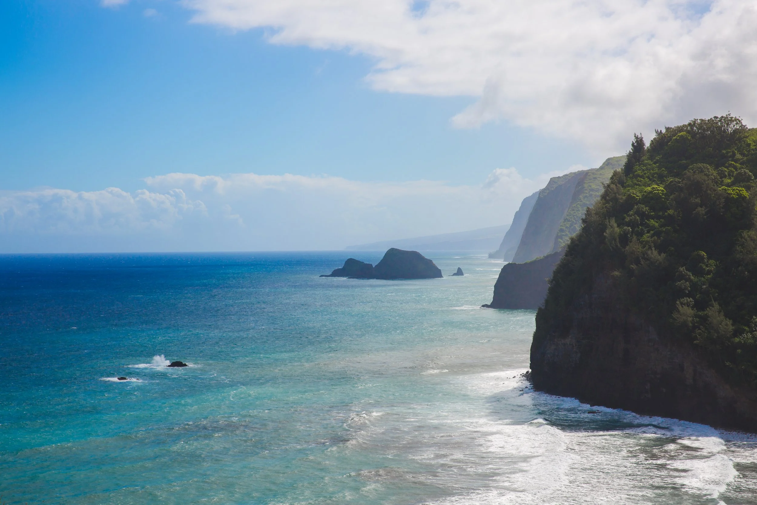 BIGIsland-116.jpg