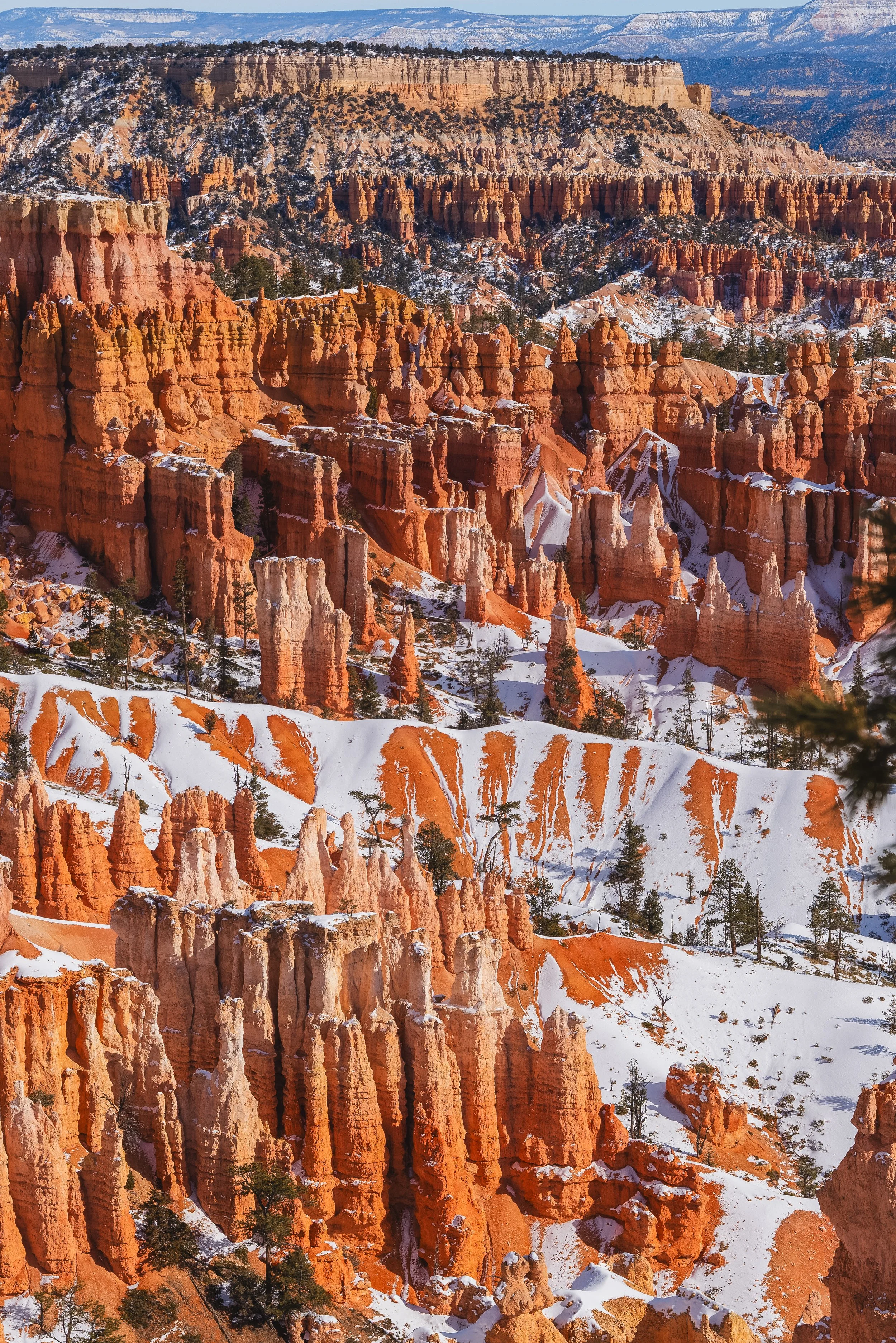 Winter-Bryce-6.JPG