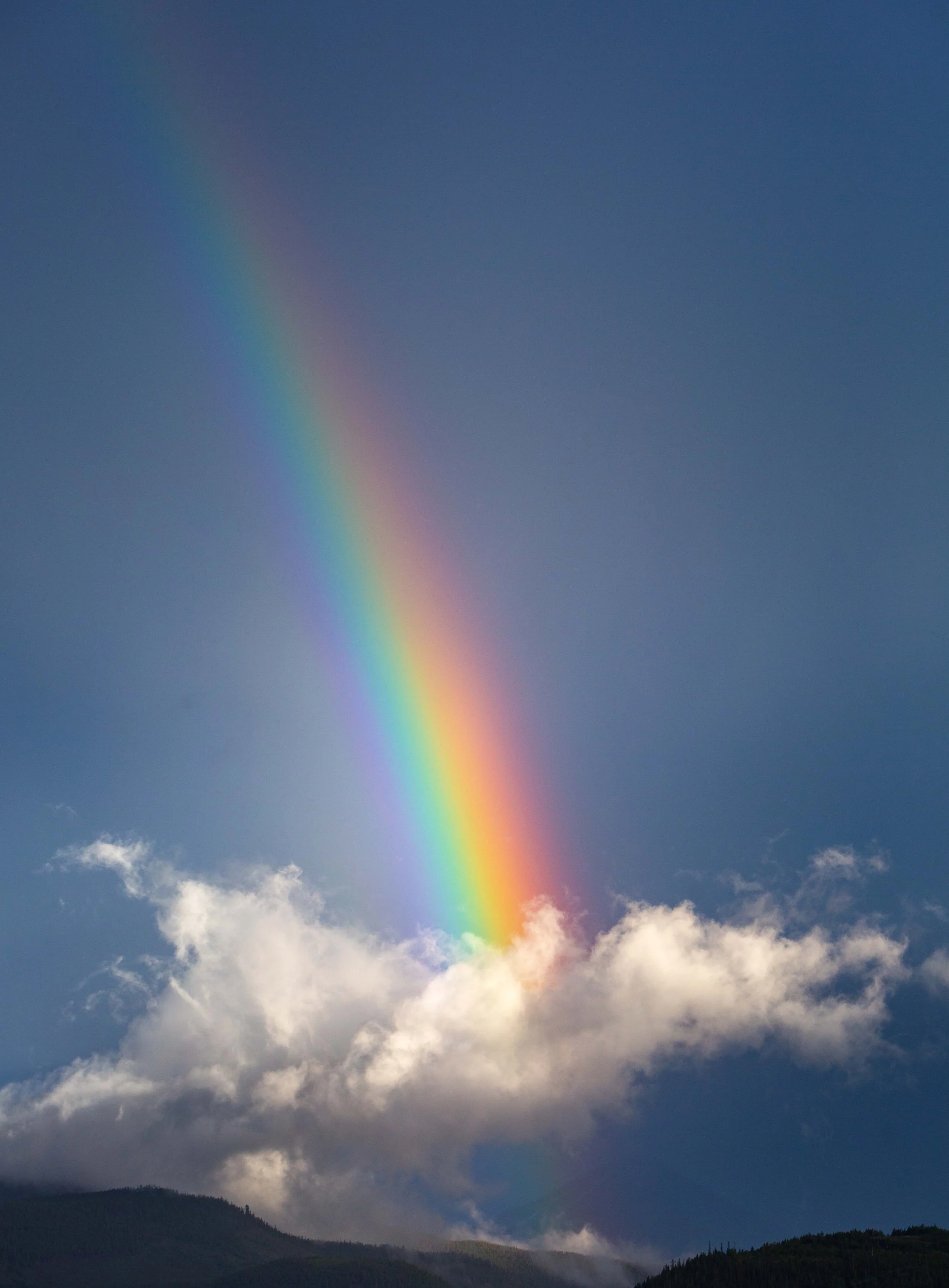 mtrainbow-1.jpg