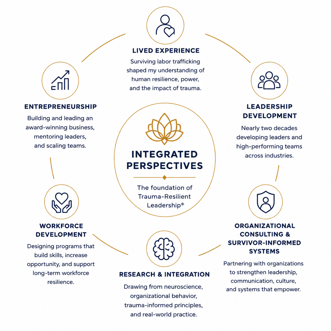 Diagram showing the integrated professional perspectives that form the foundation of Trauma-Resilient Leadership®, including lived experience, leadership development, consulting, research, workforce development, and entrepreneurship.
