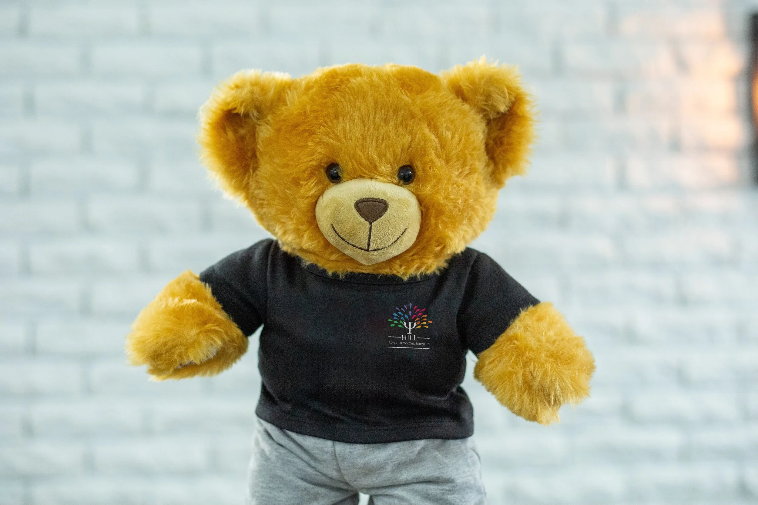 A teddy bear with golden fur wearing a black T-shirt with a colorful logo and gray pants, standing against a blurred light-colored brick wall background.