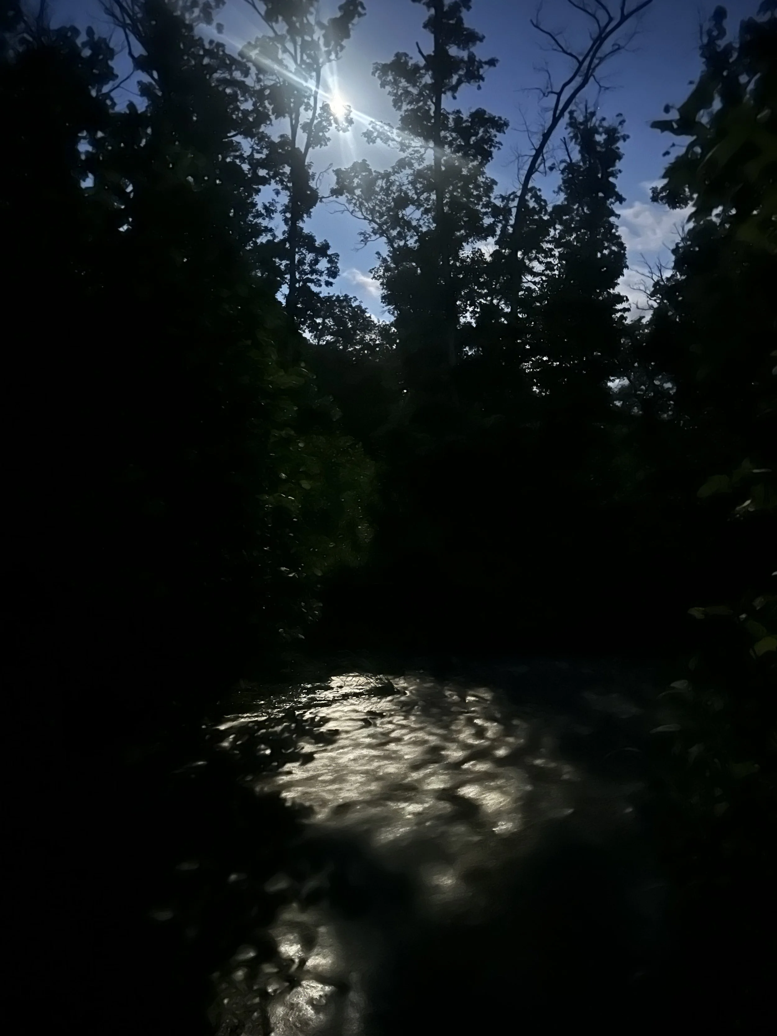 Sunlight shining through trees over a flowing river or stream in a forested area.